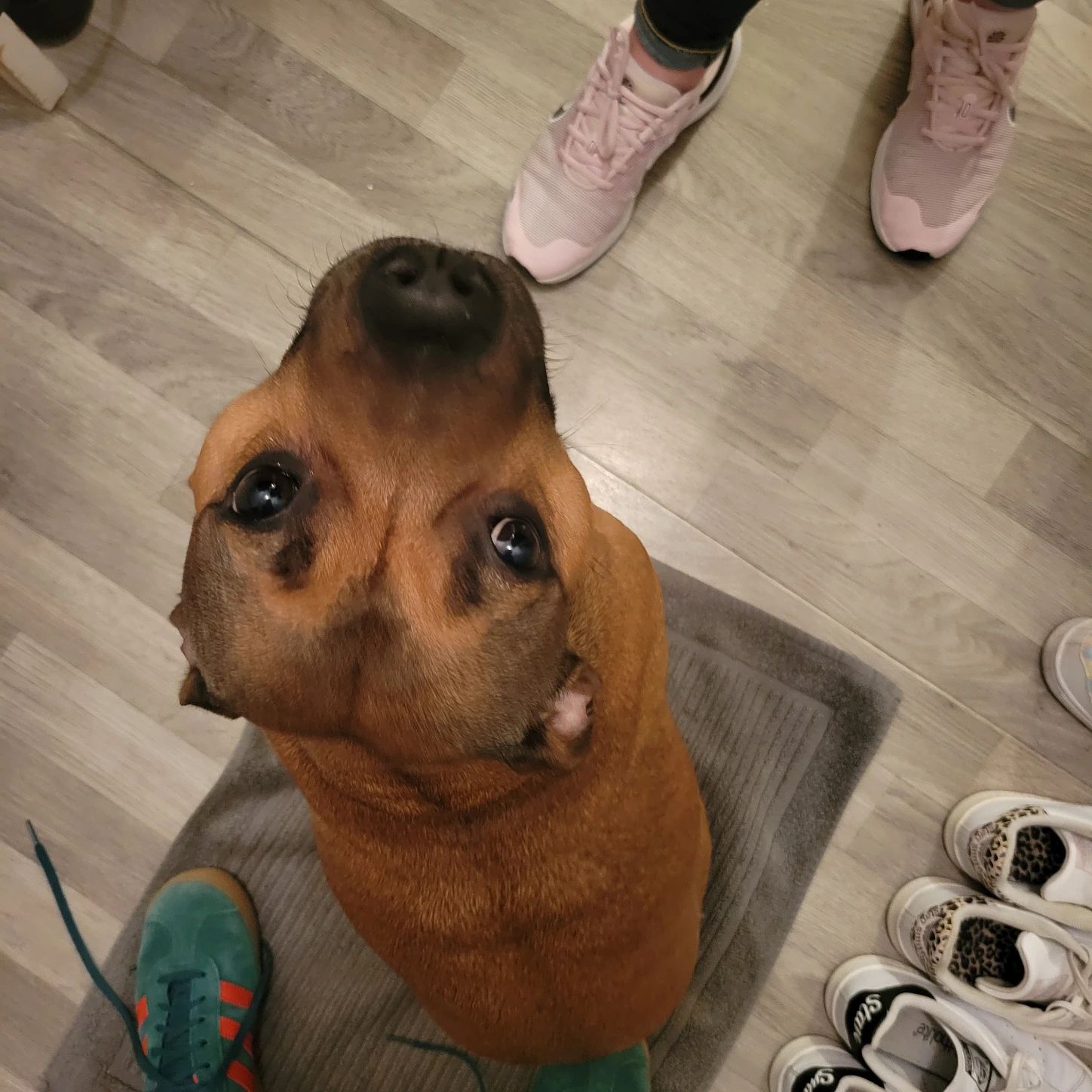 image-6