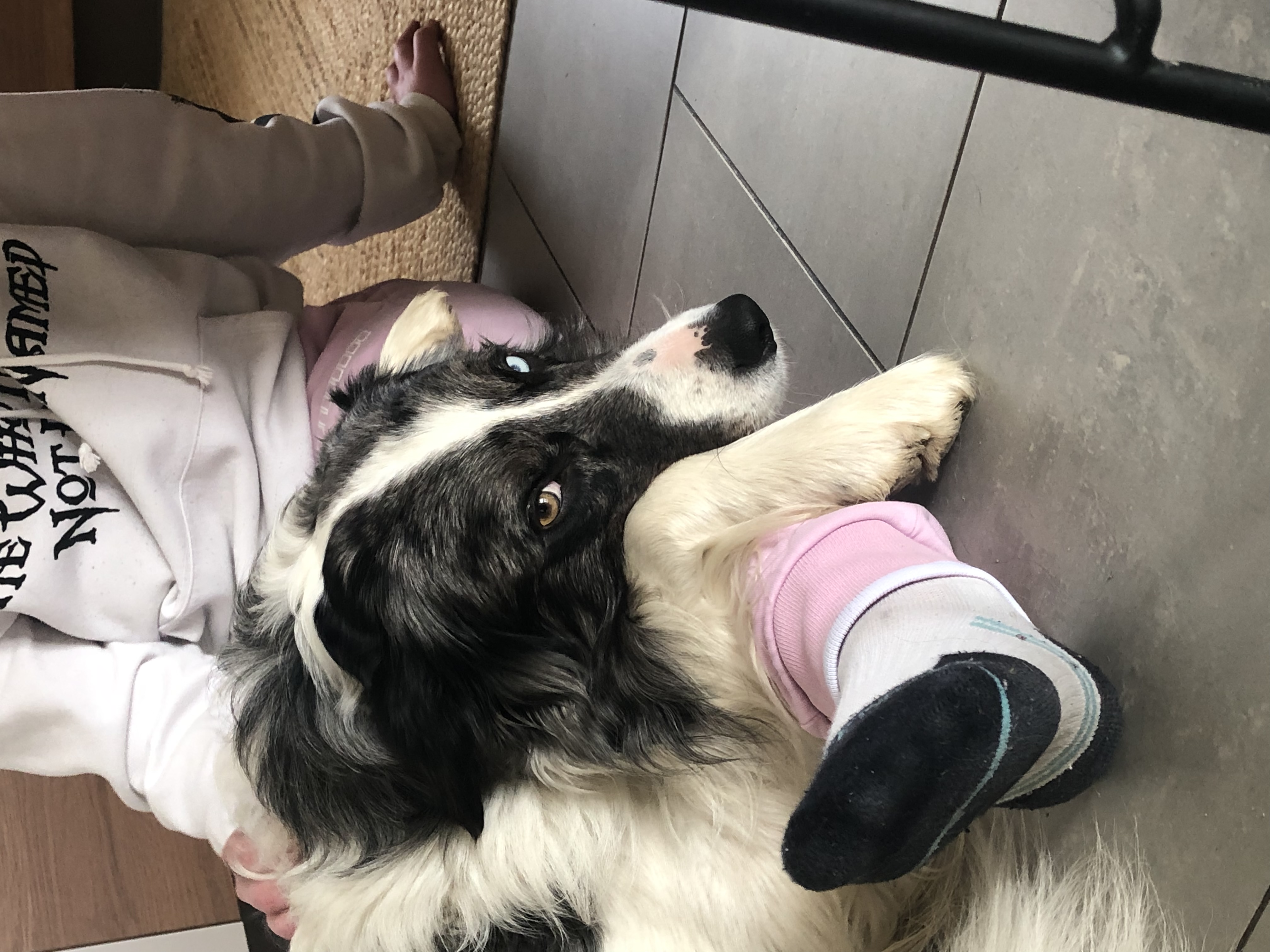 image-6