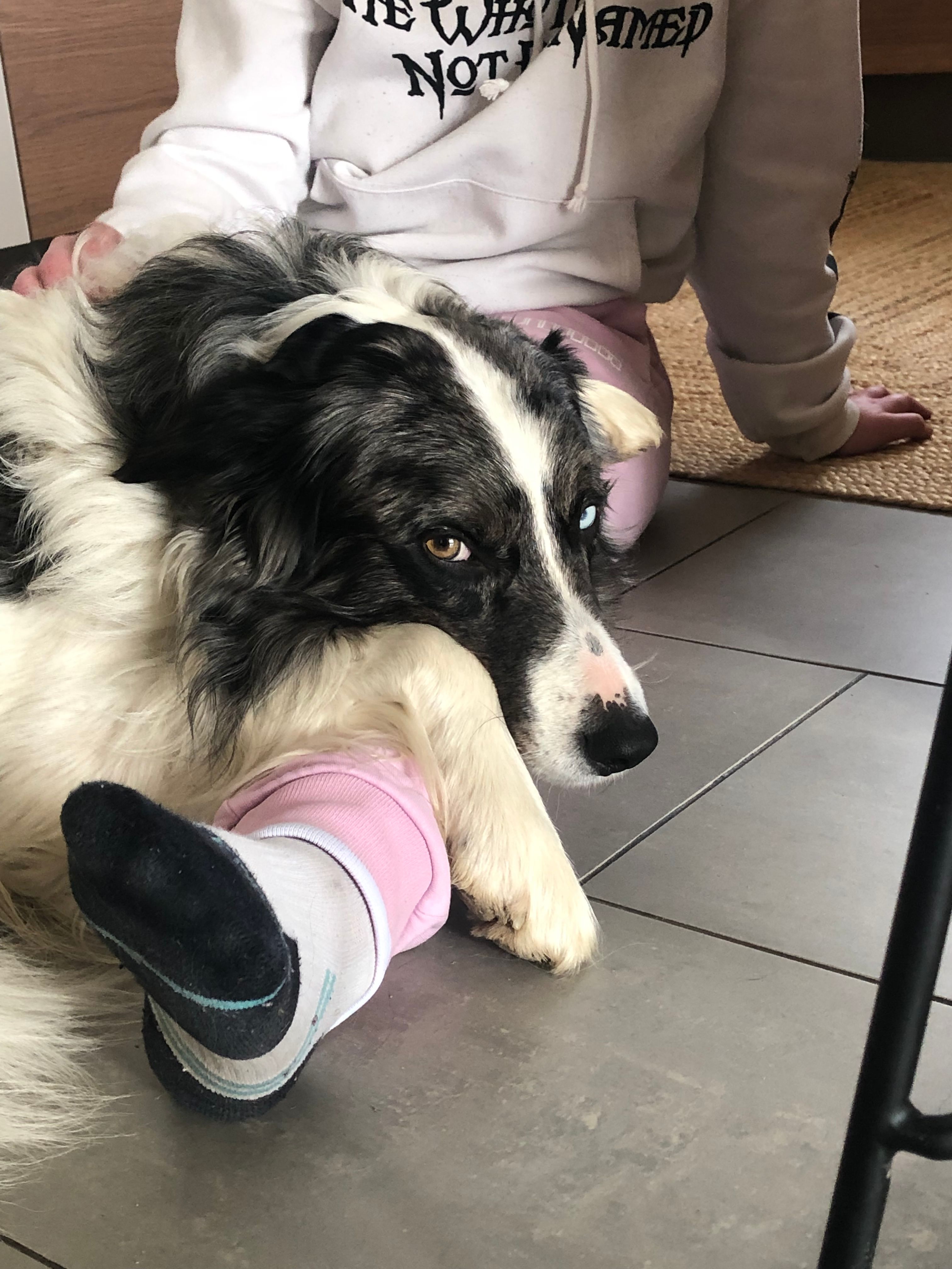 image-6