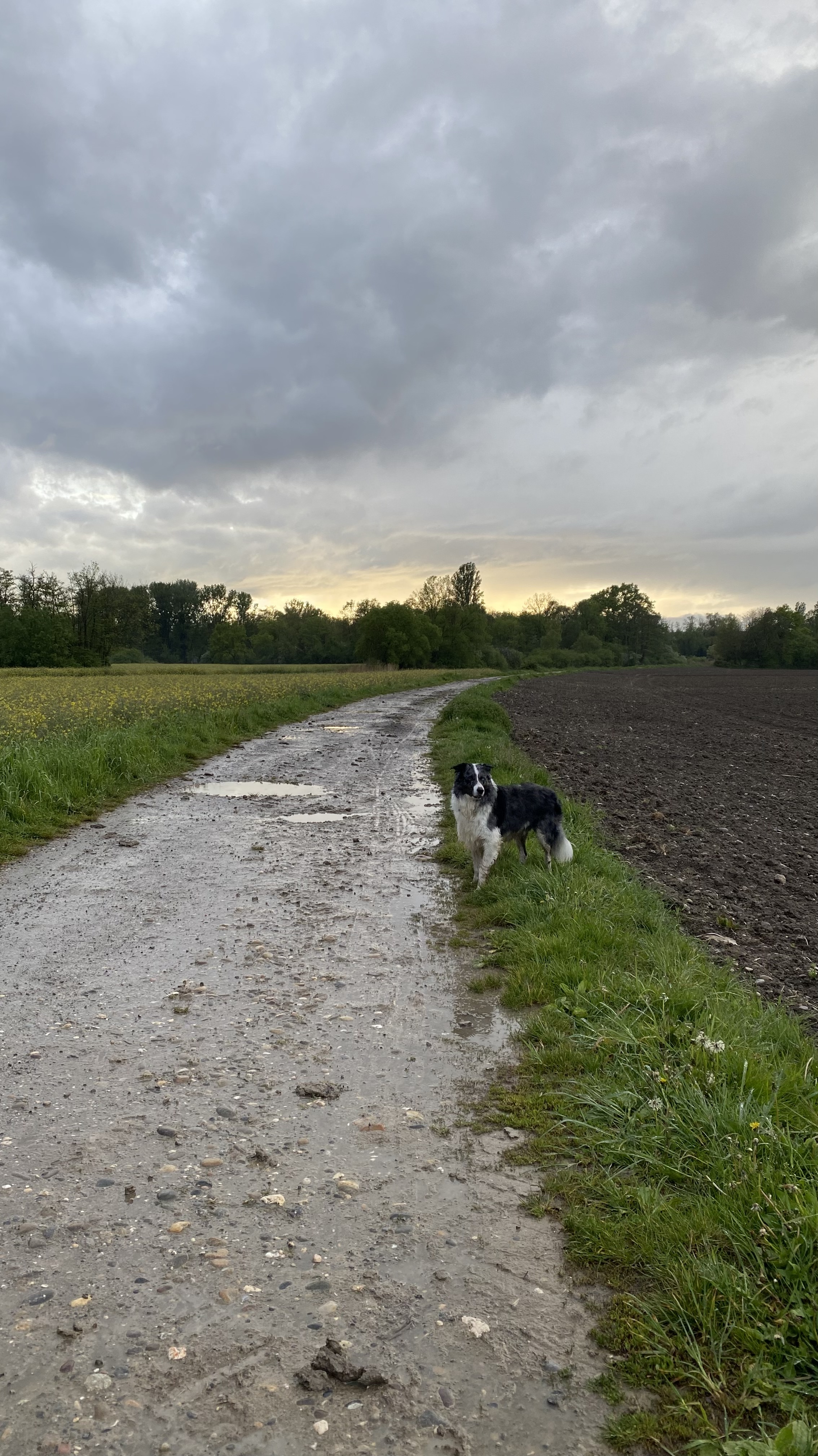 image-7