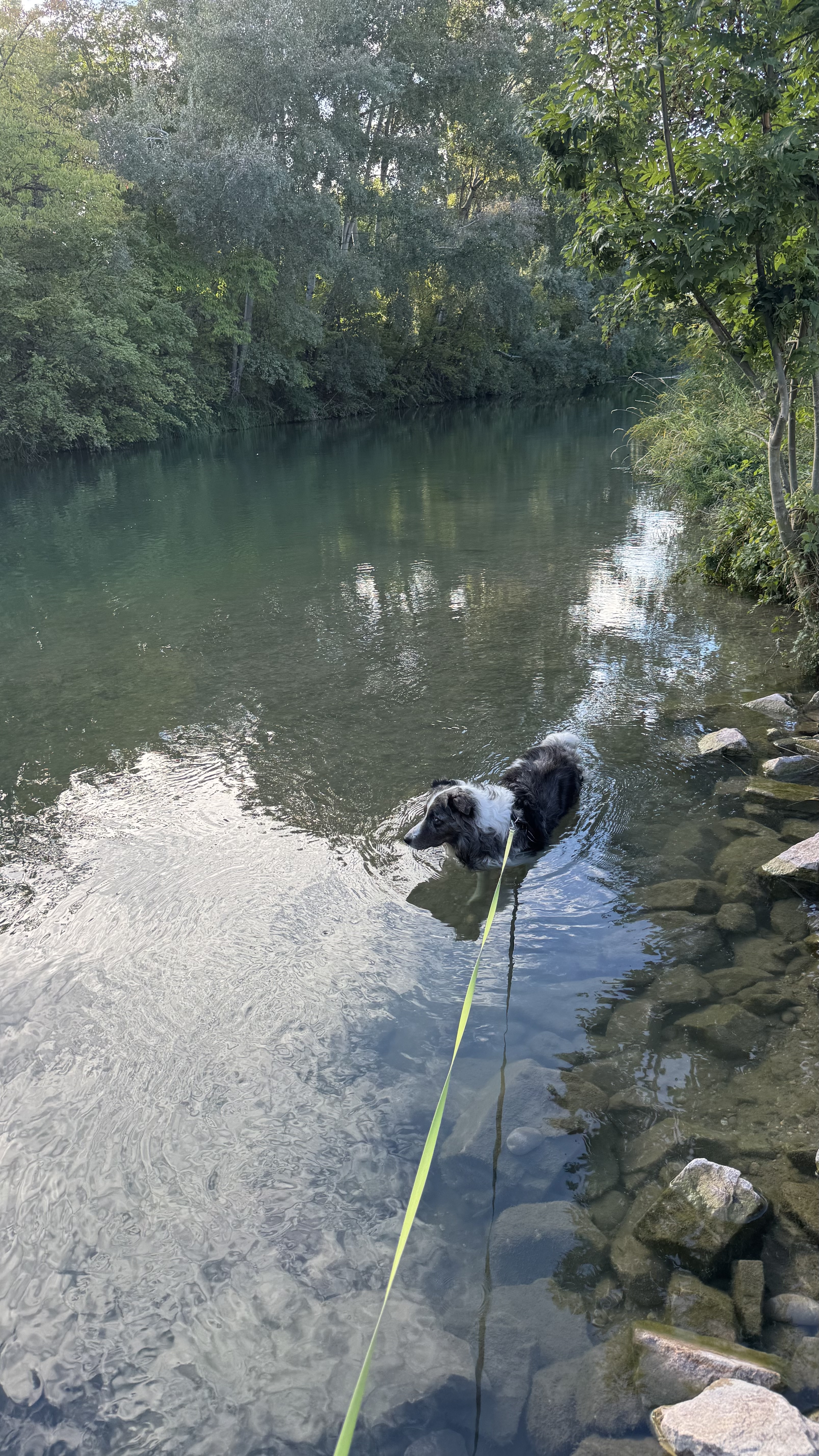 image-9