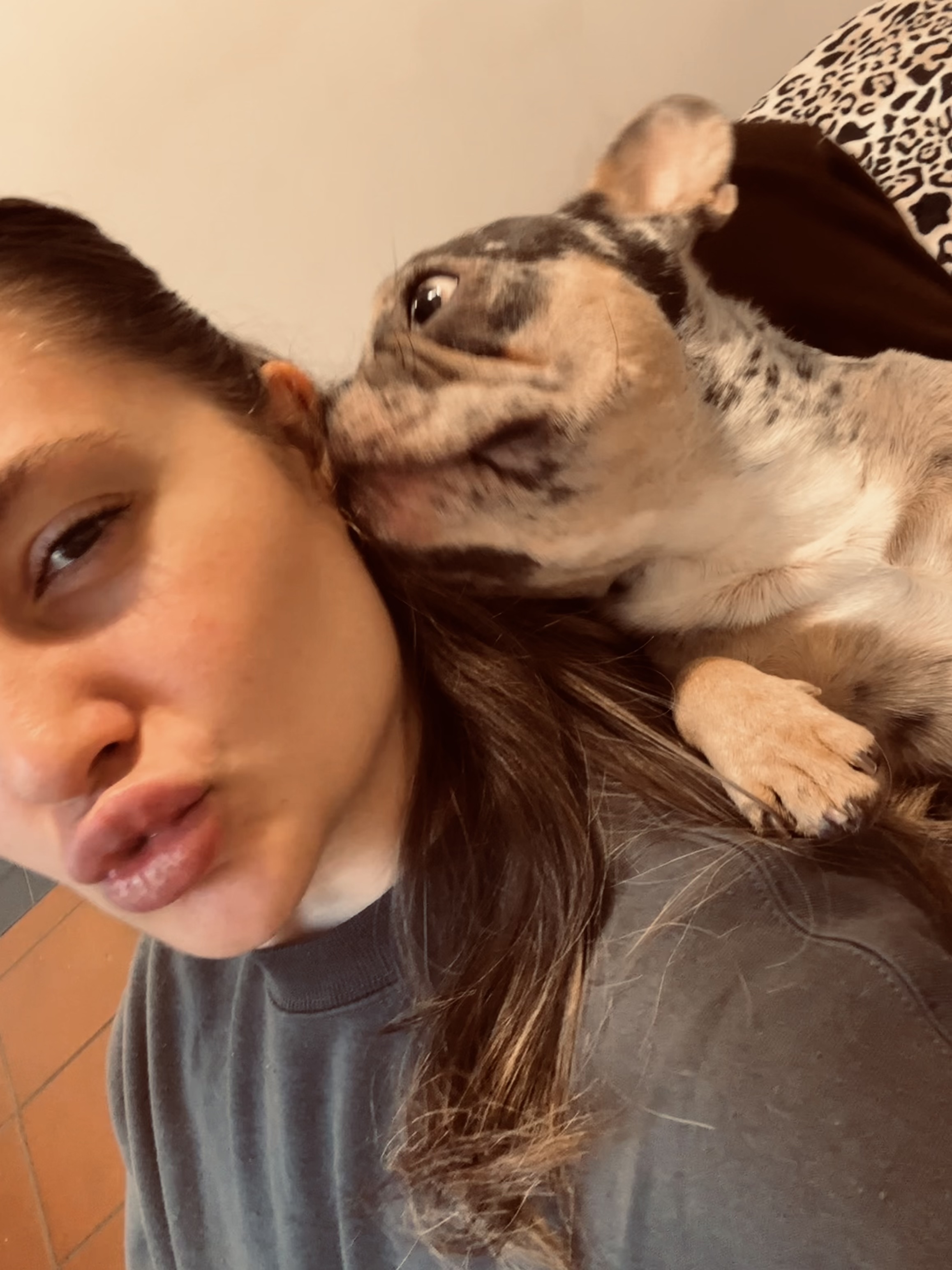 image-6