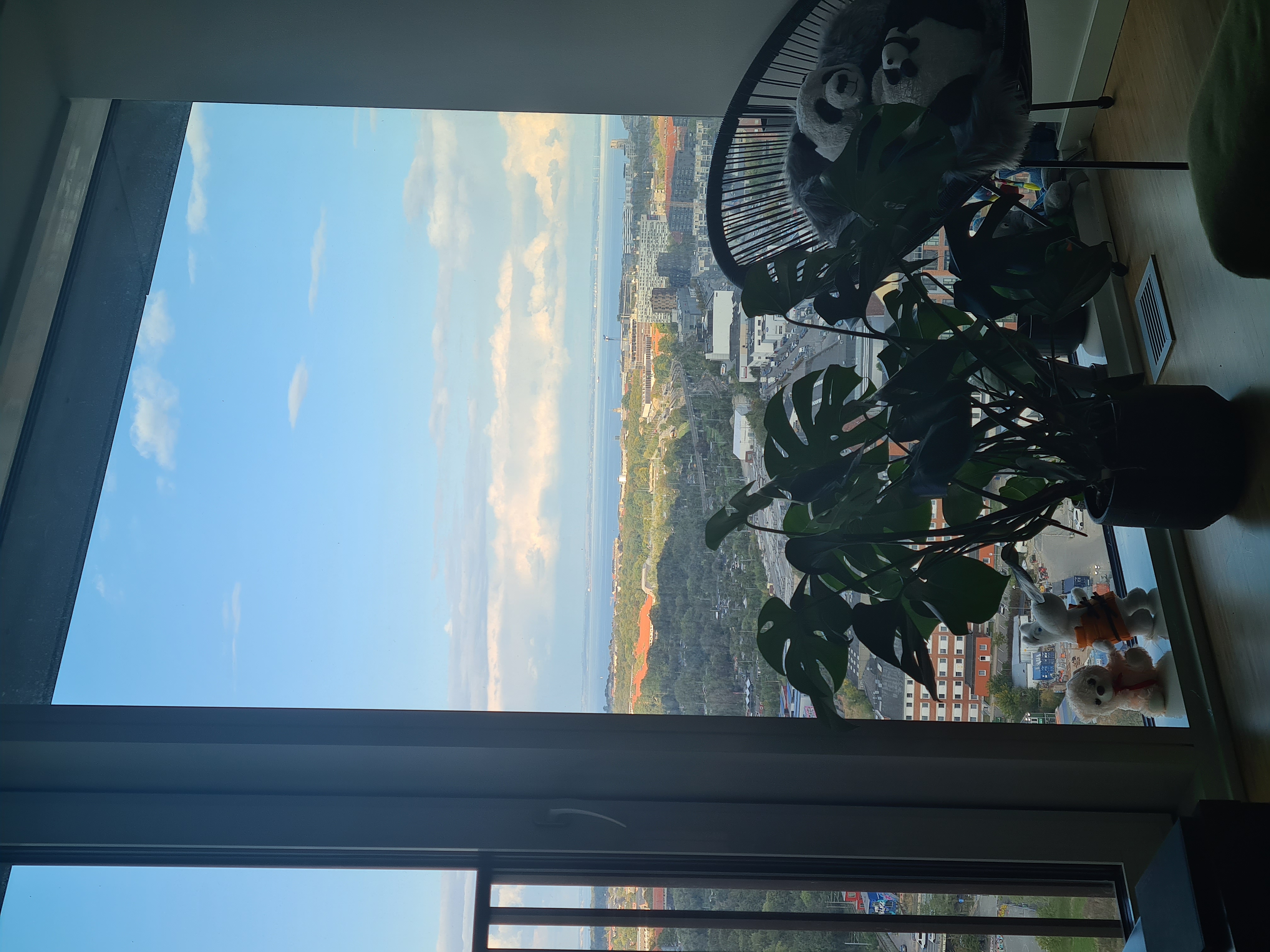 image-7