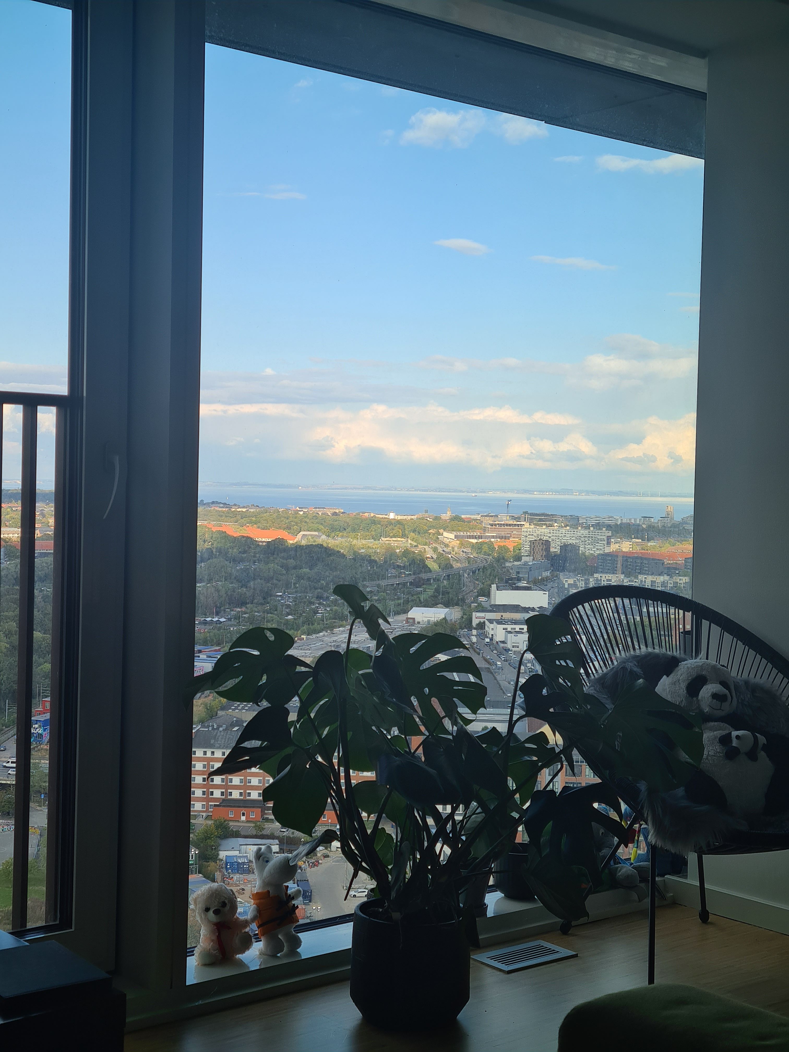image-7