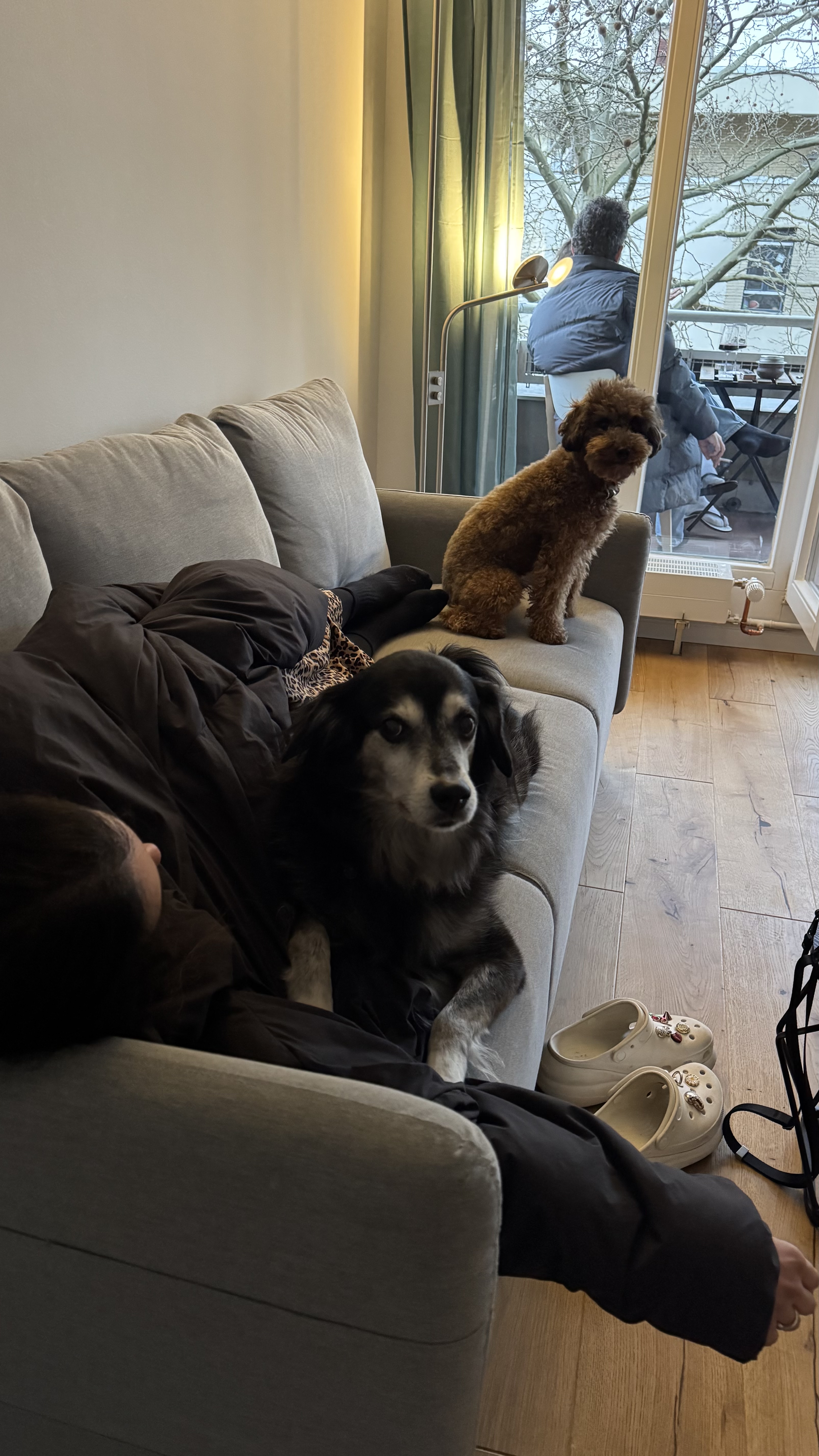 image-7