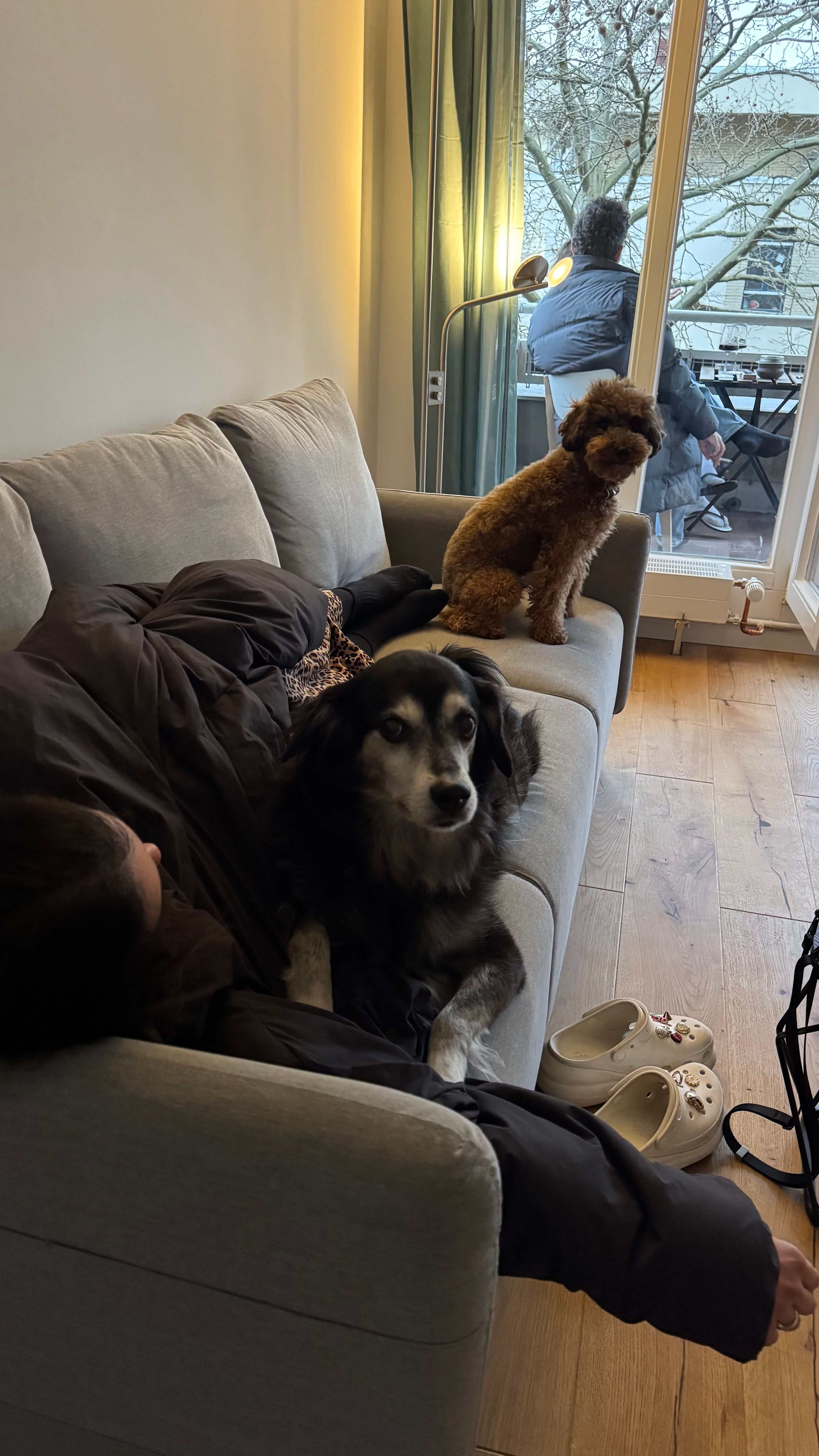 image-7