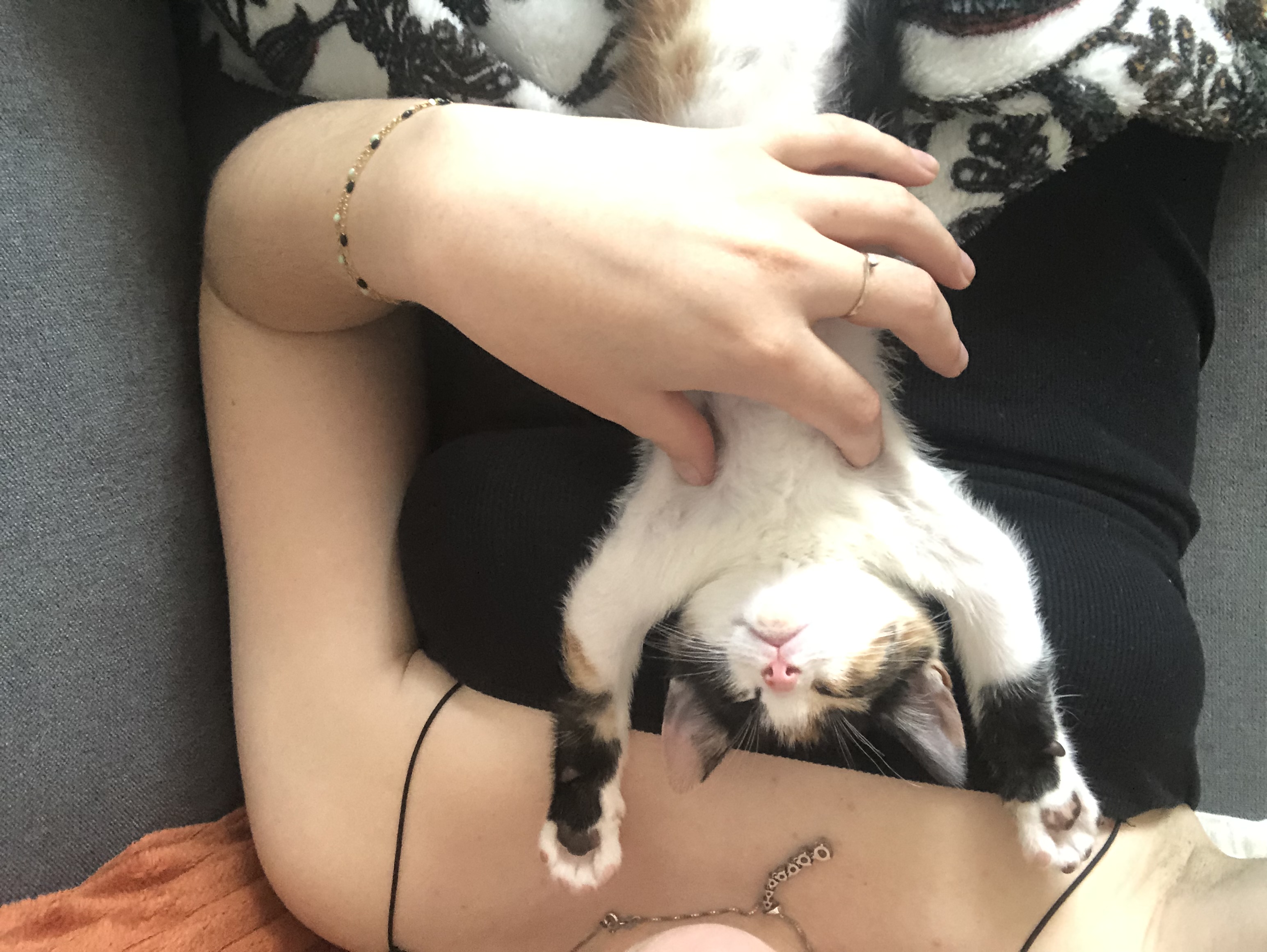 image-6