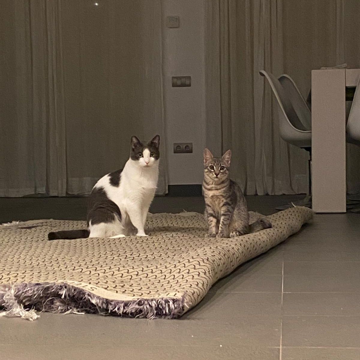 Ryu and Creta