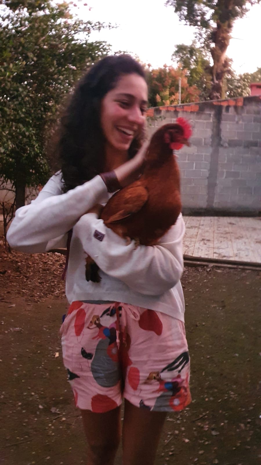 image-6