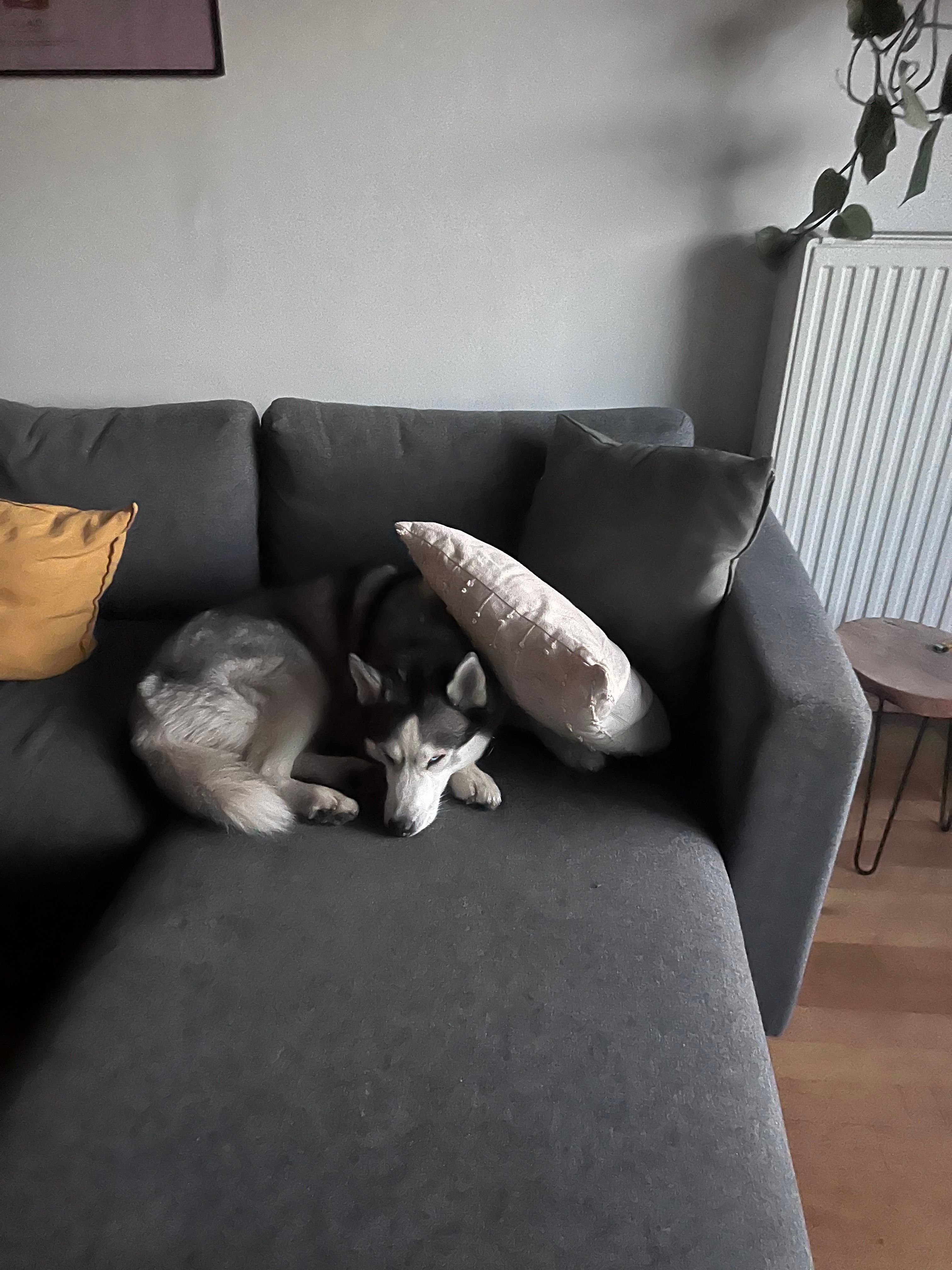 image-16