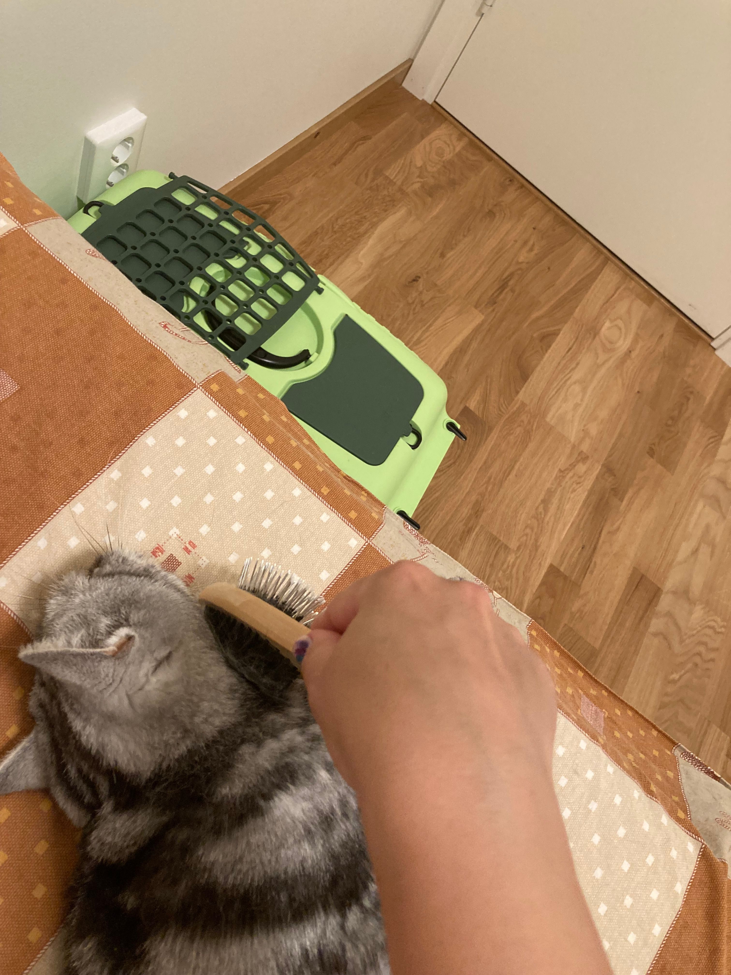 image-15