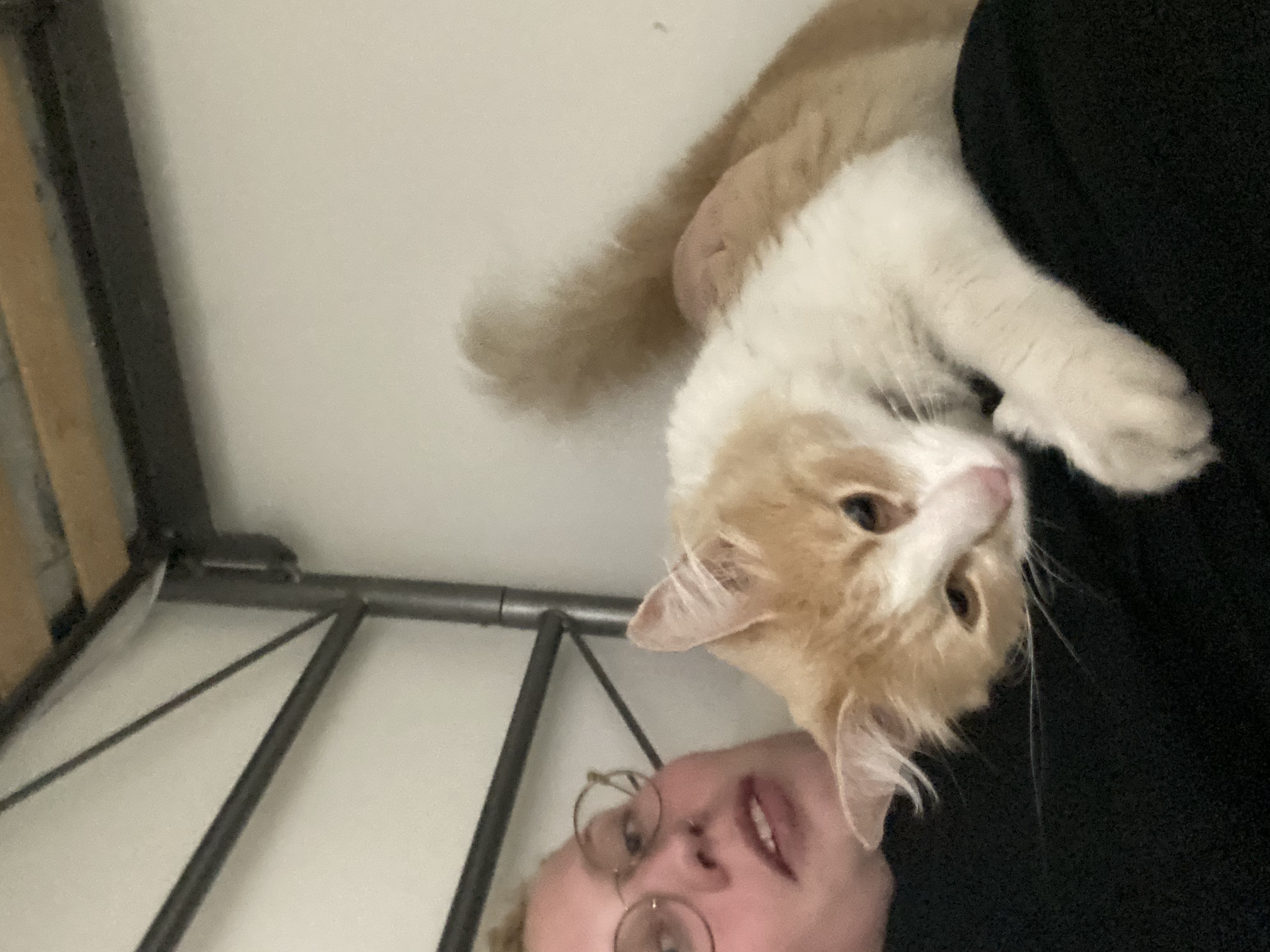 image-6