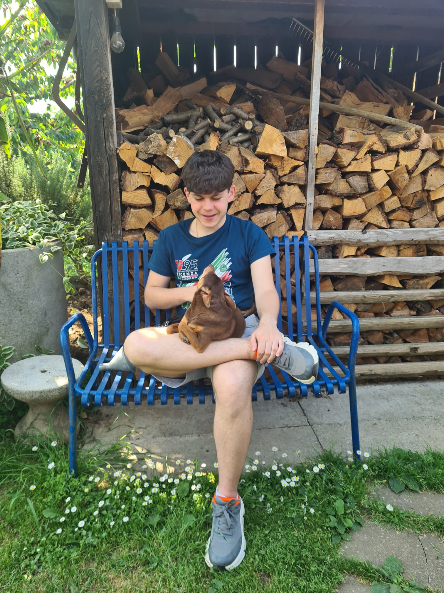 image-1