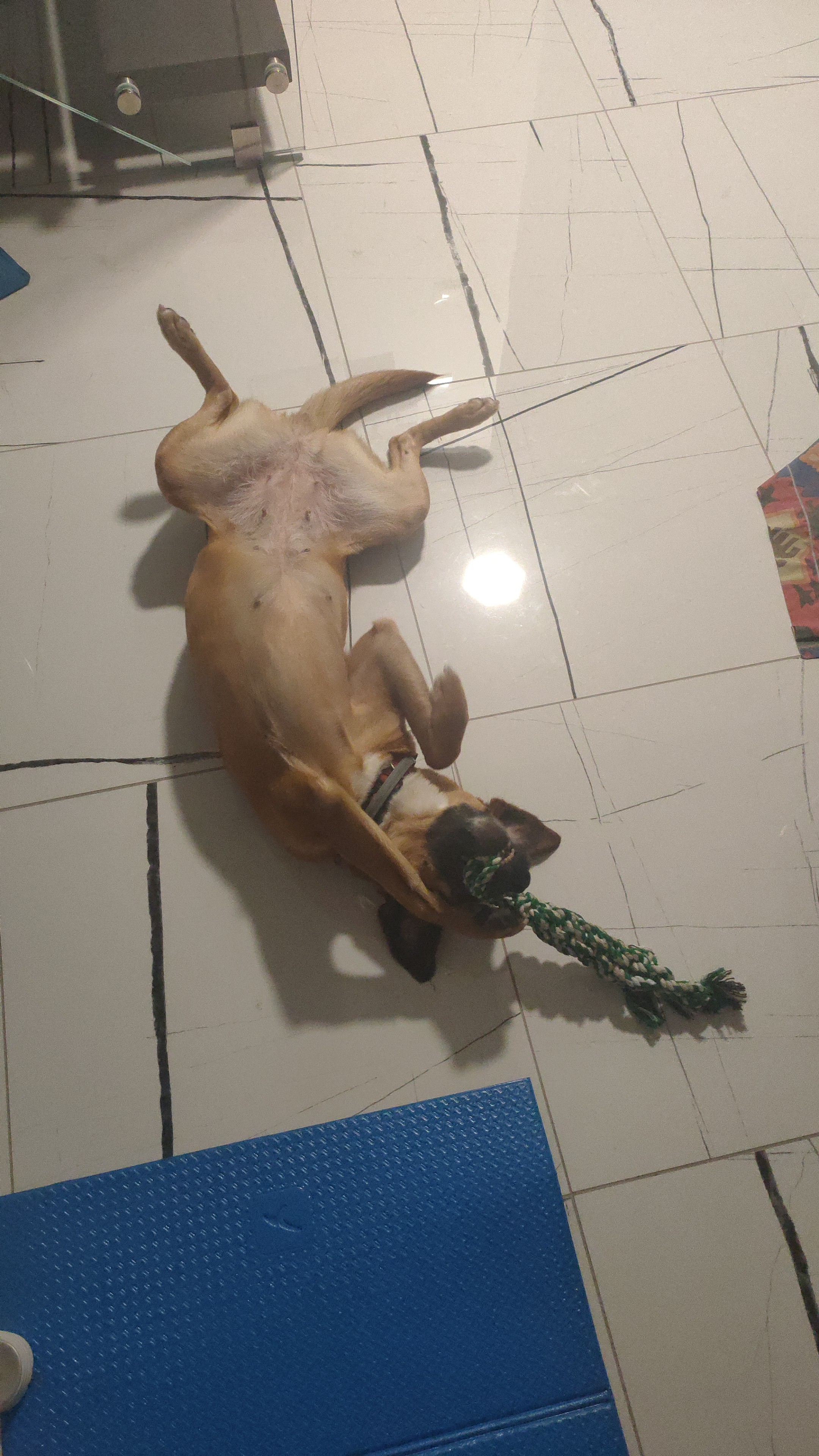 image-8