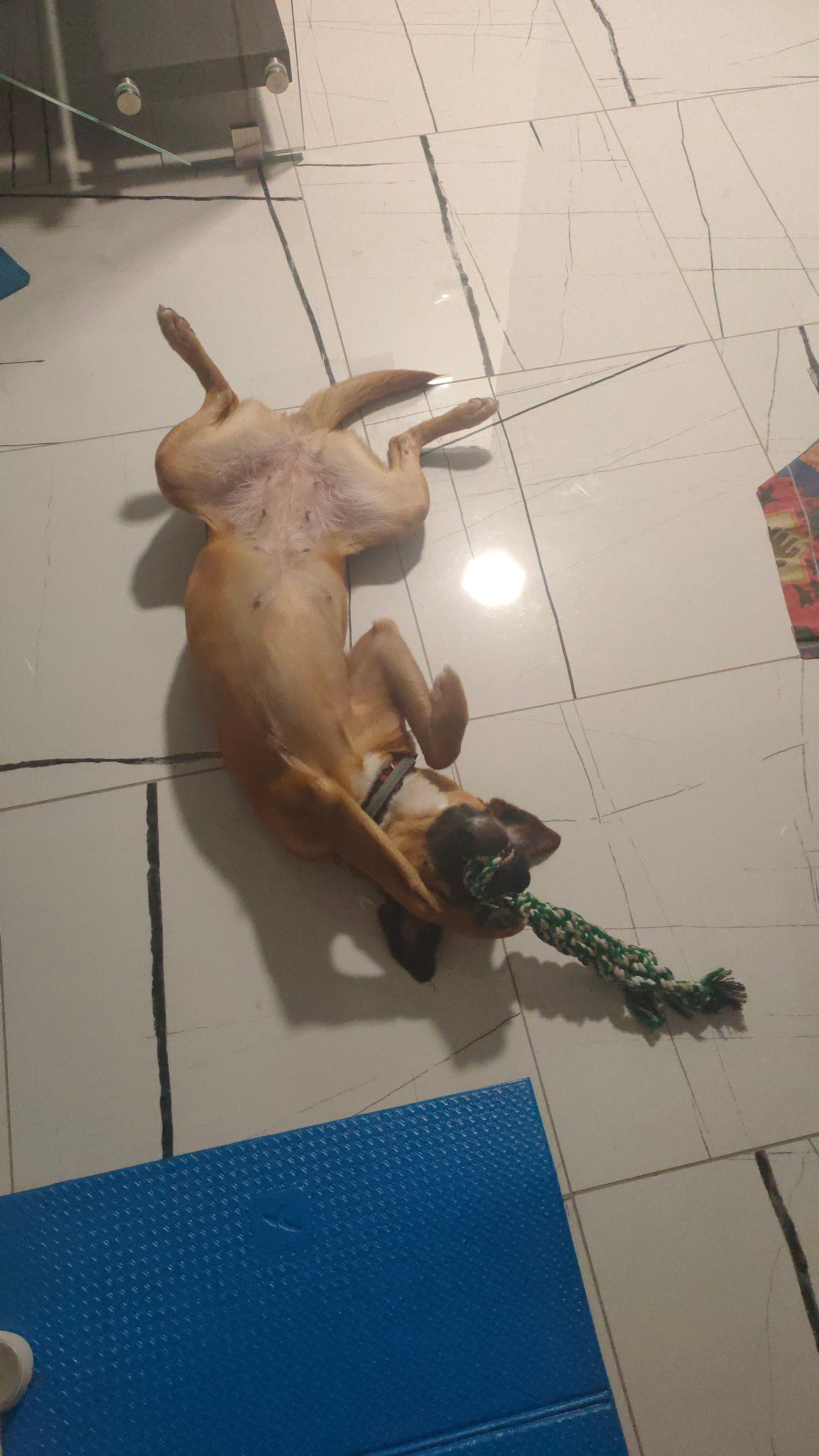 image-8