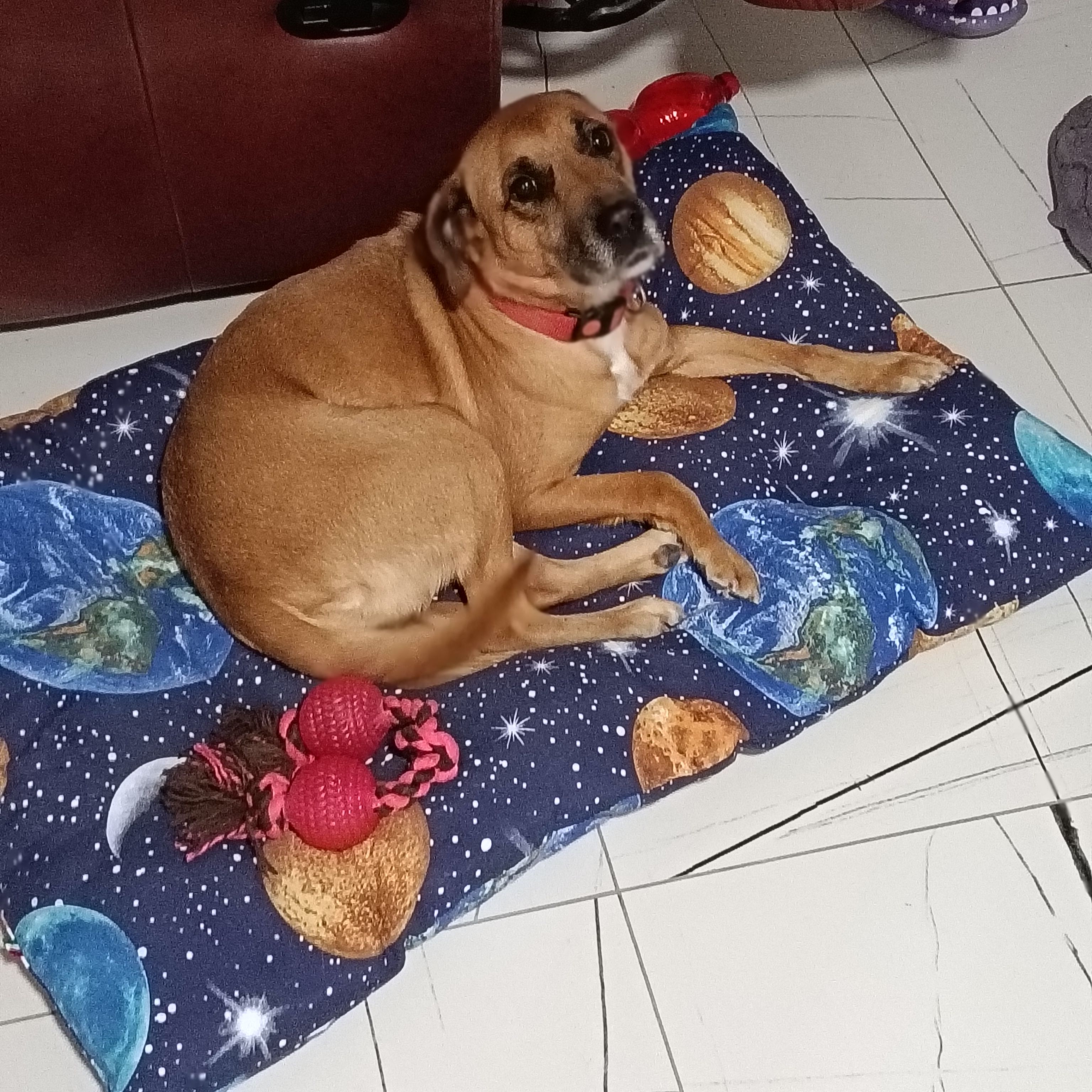 Cloe