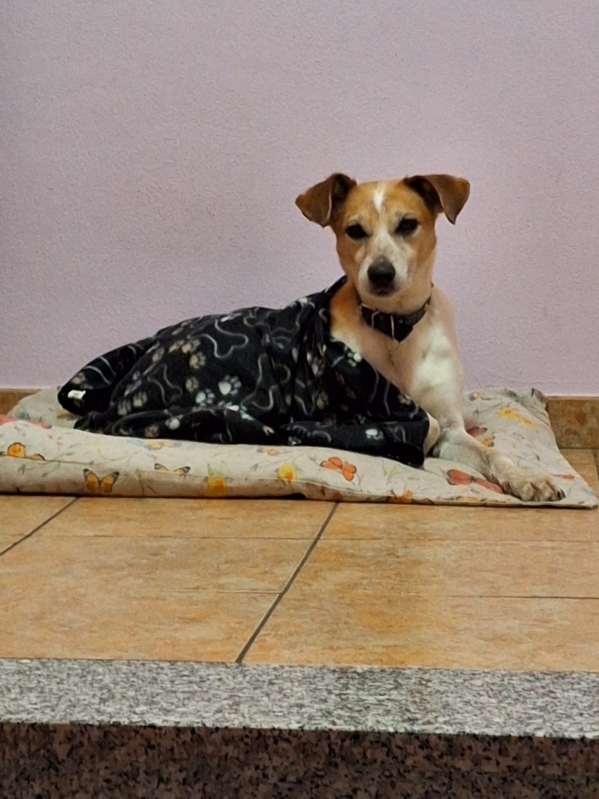image-10