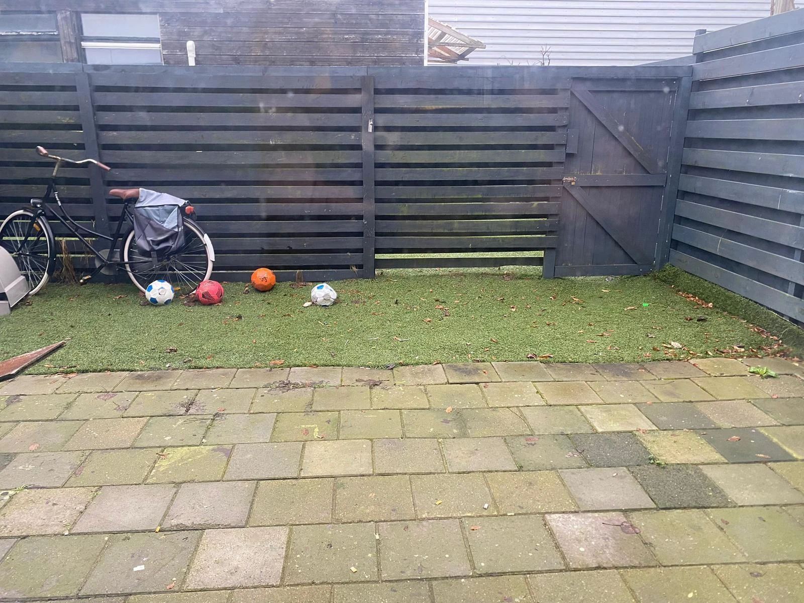 image-14