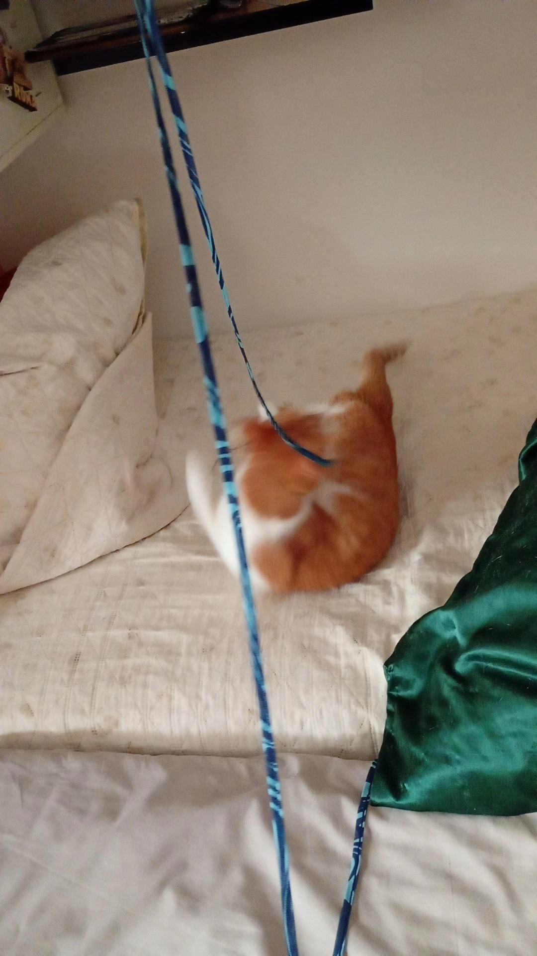 image-7