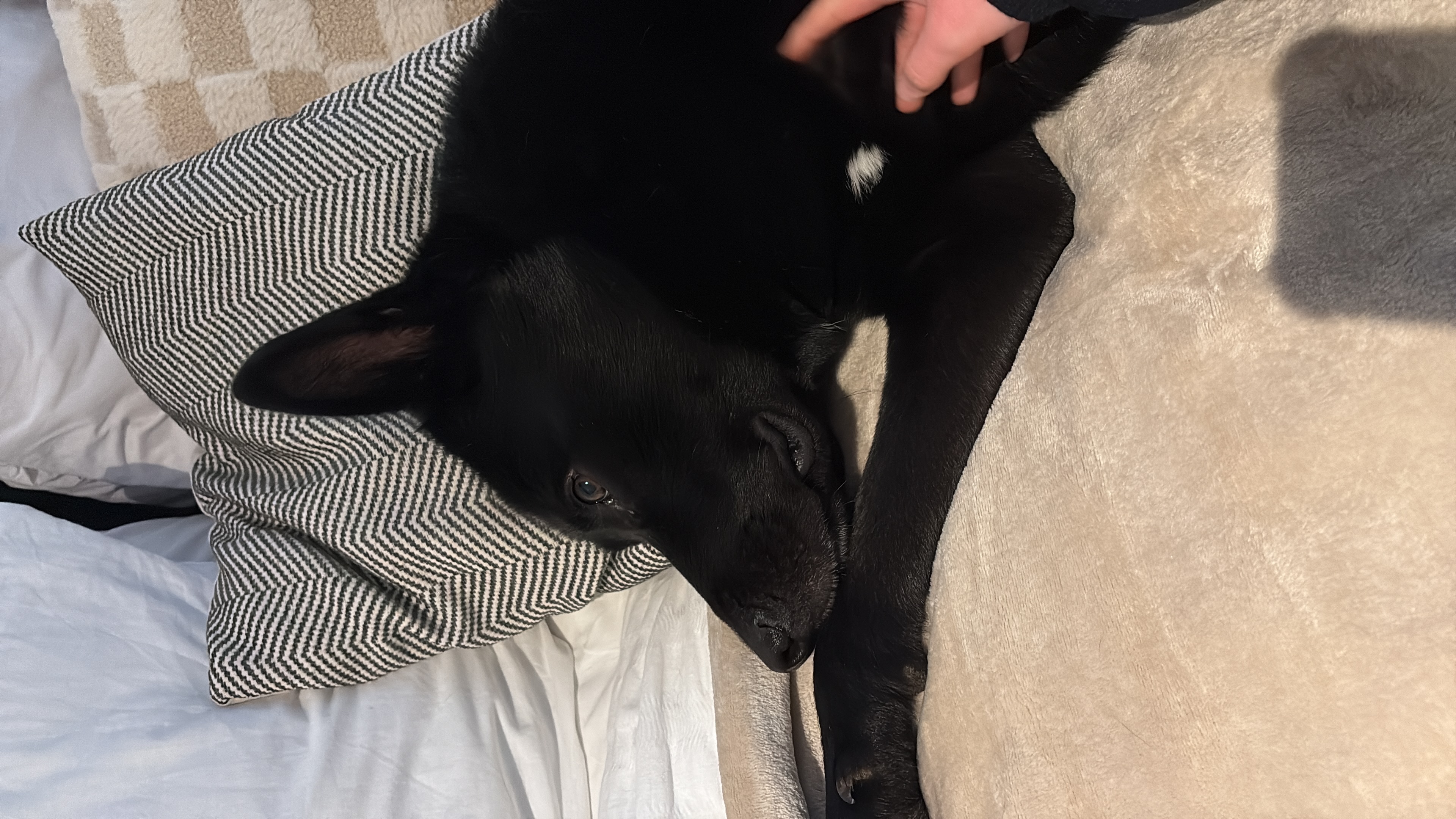 image-16