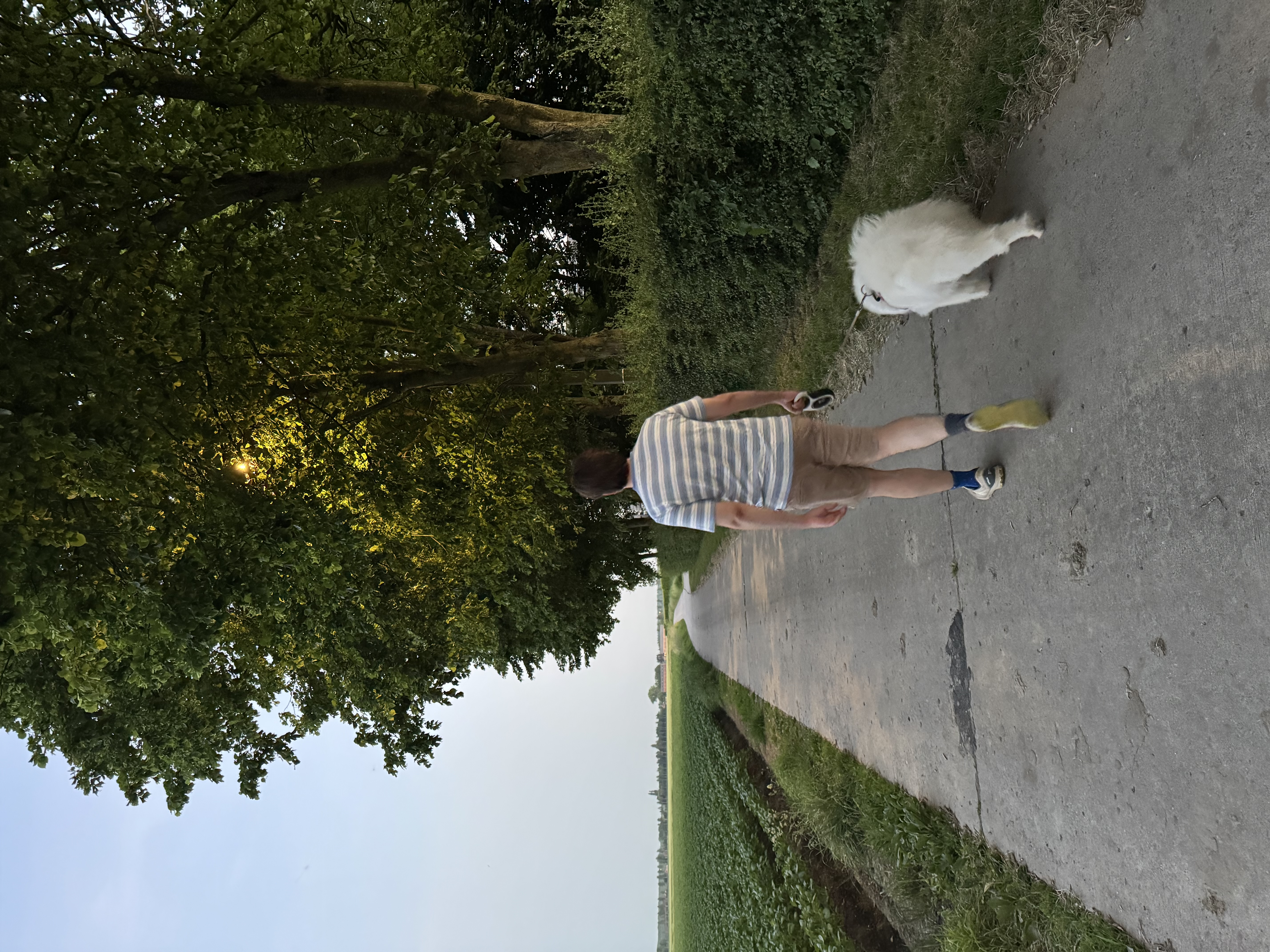 image-17