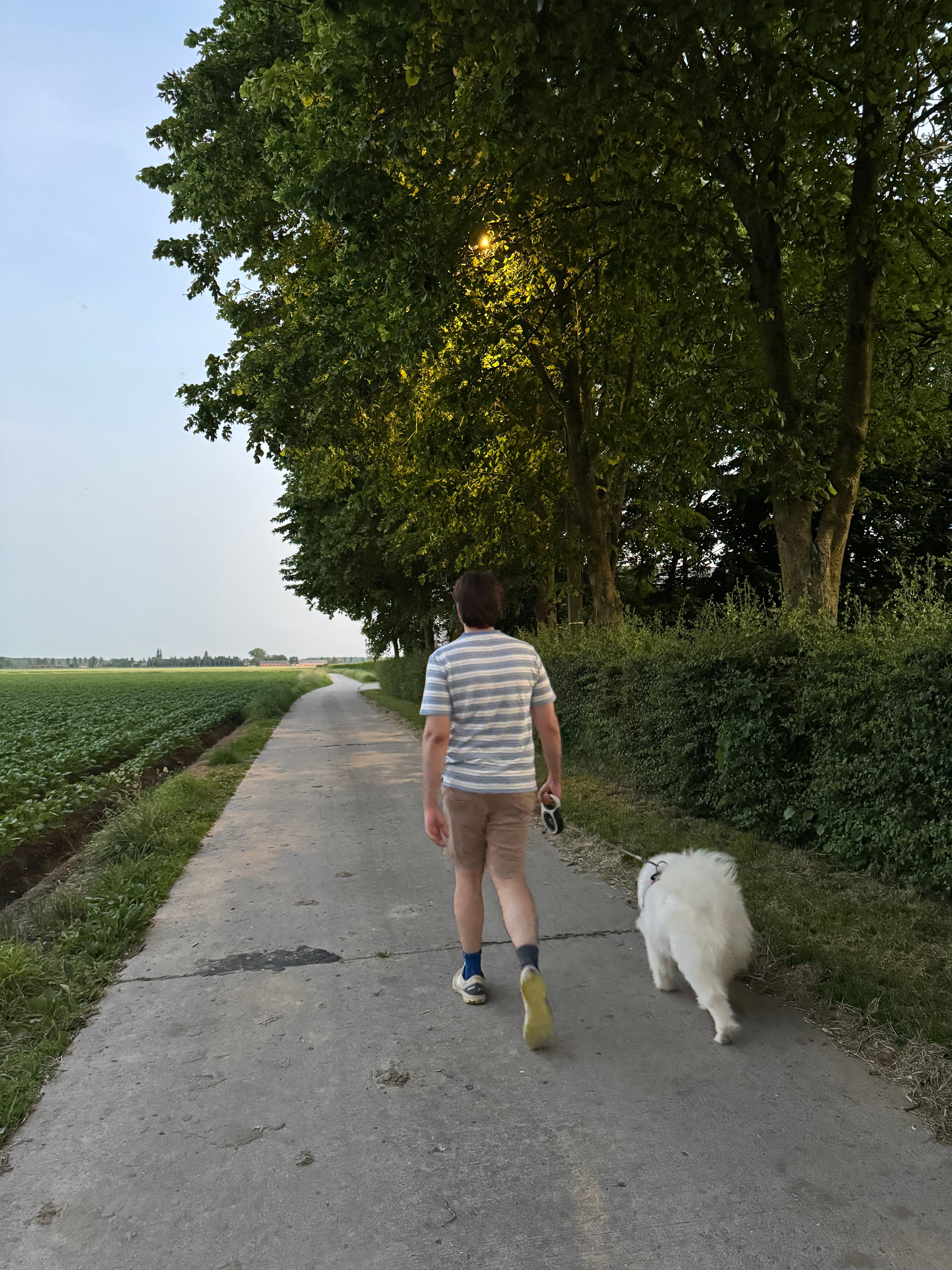 image-17