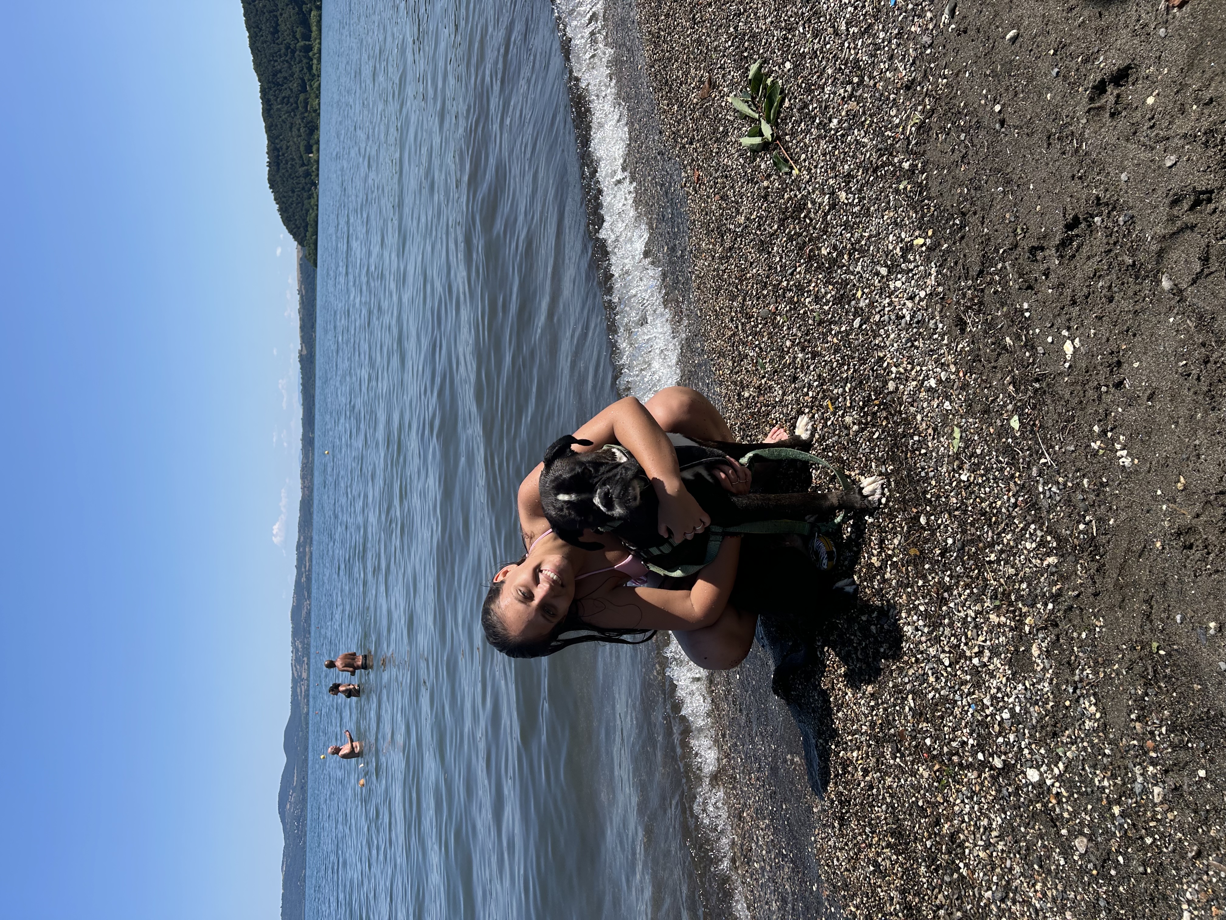 image-7