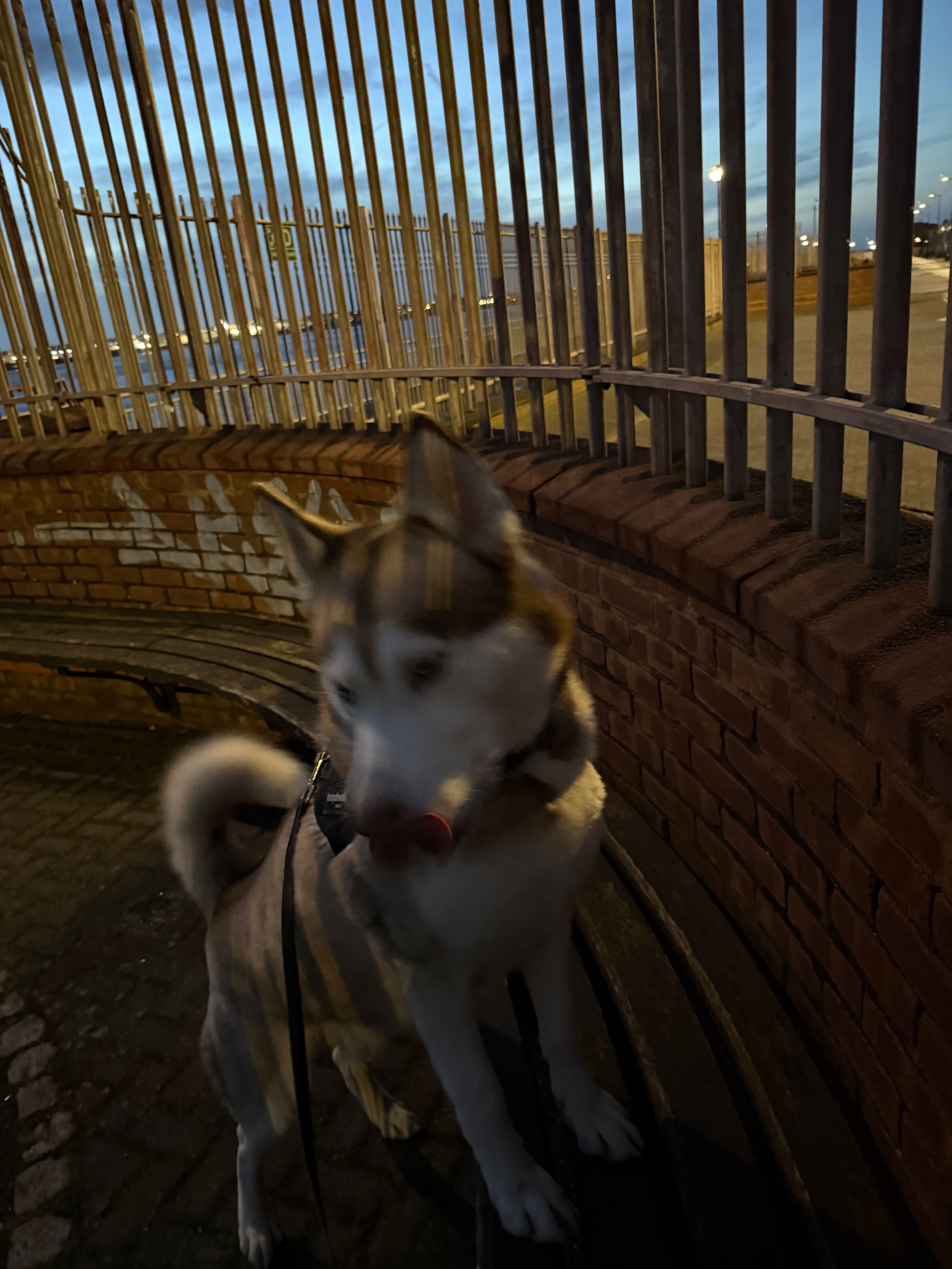 image-7