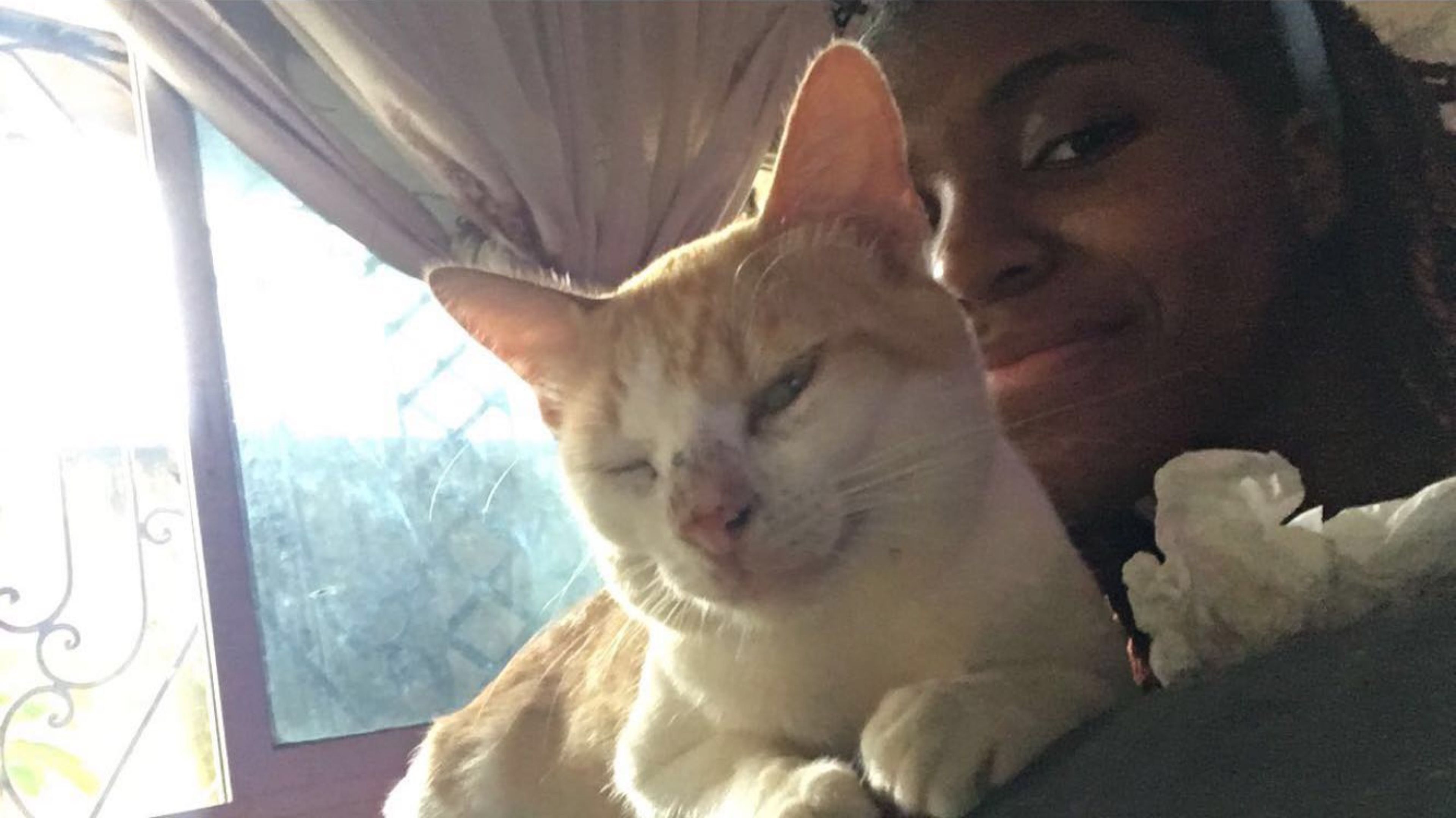 image-0