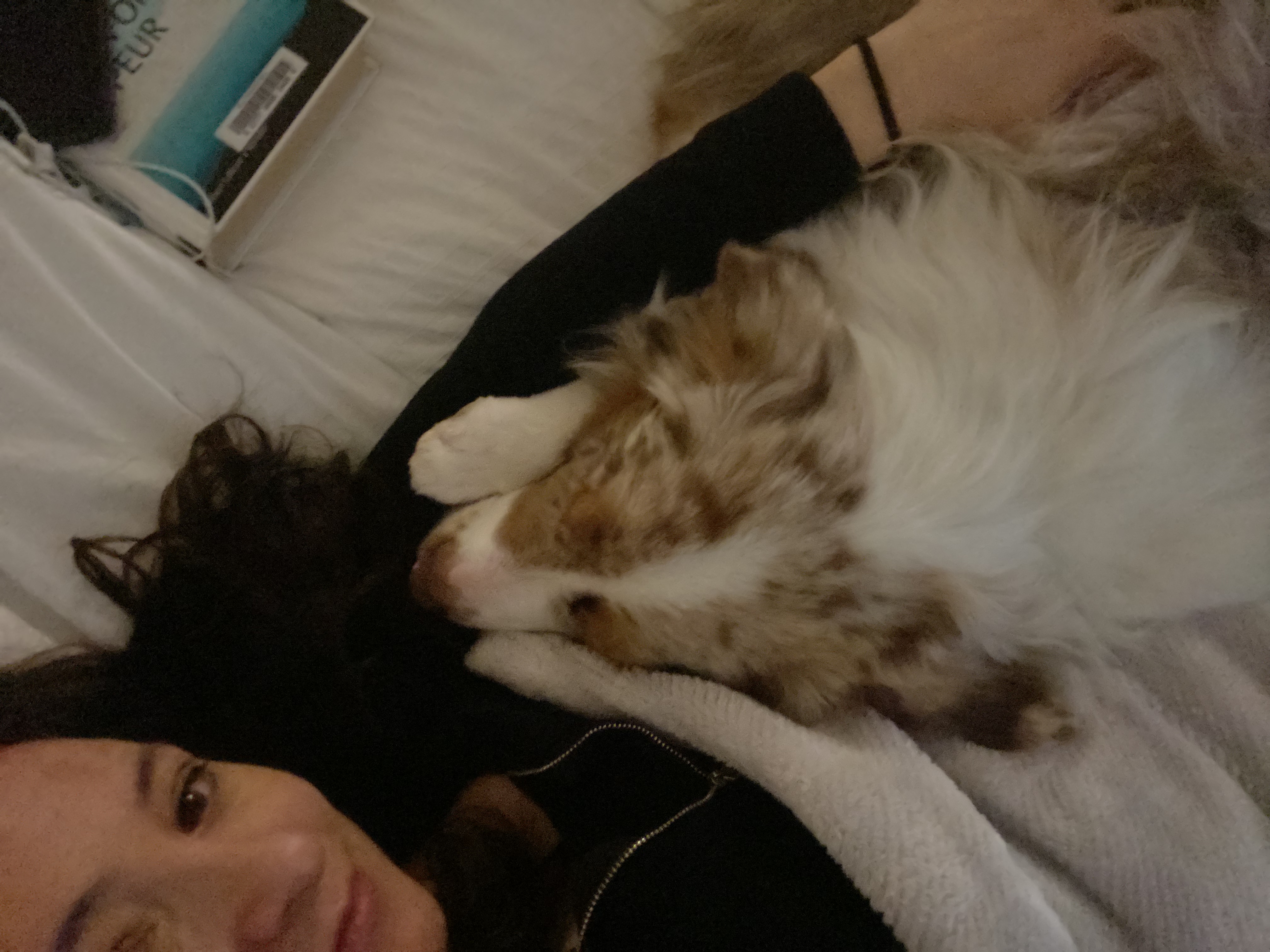 image-8
