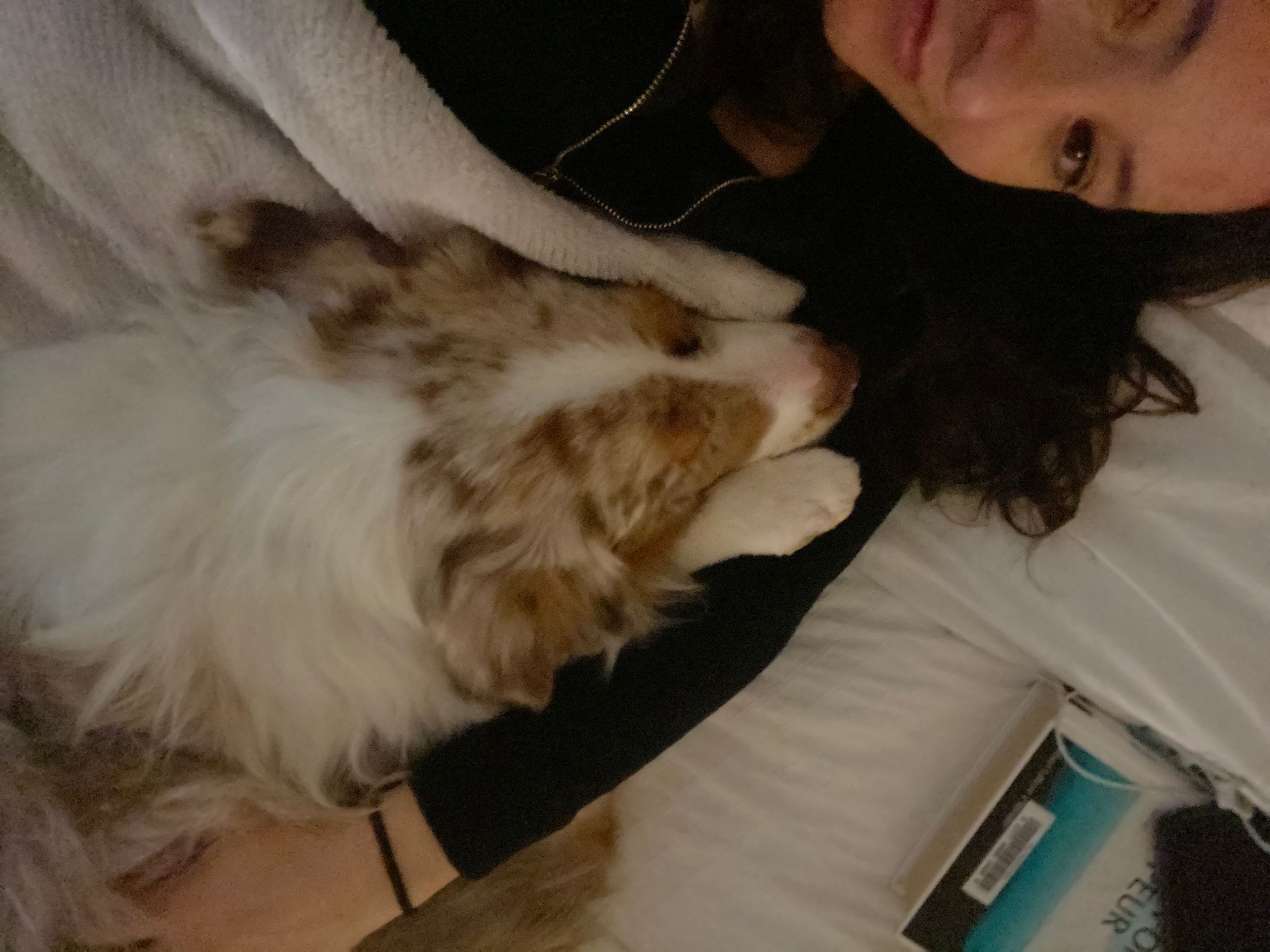 image-8