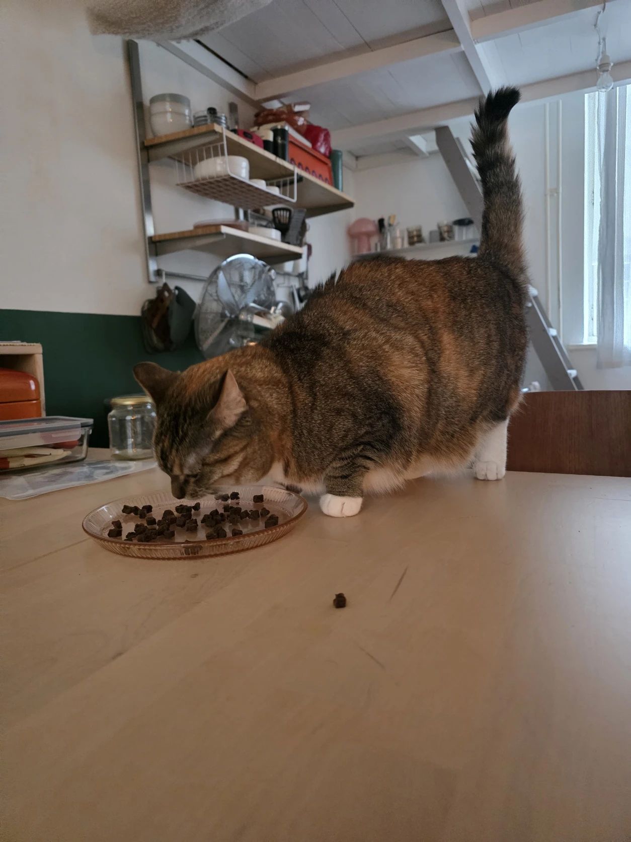 image-8