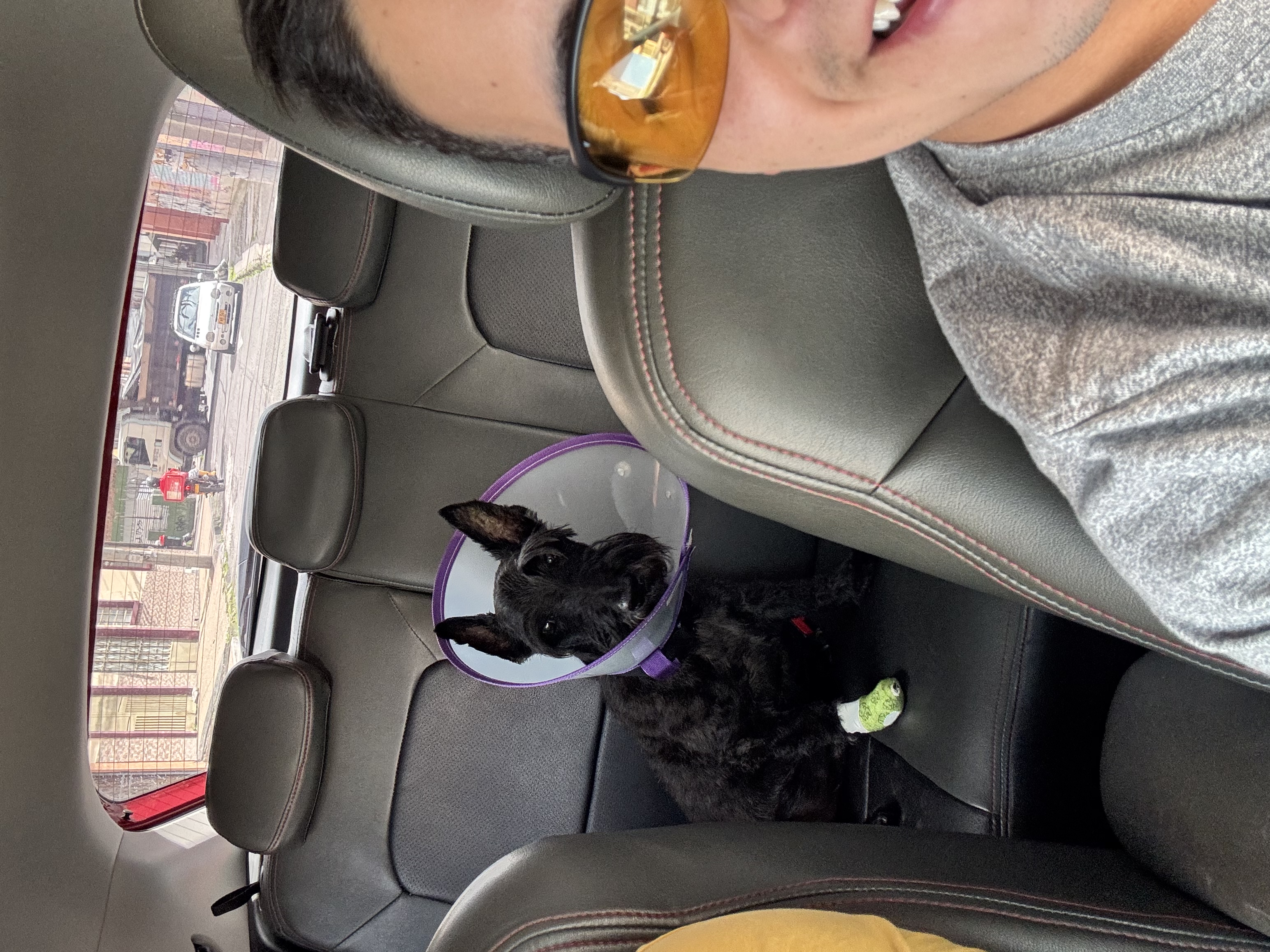 image-6