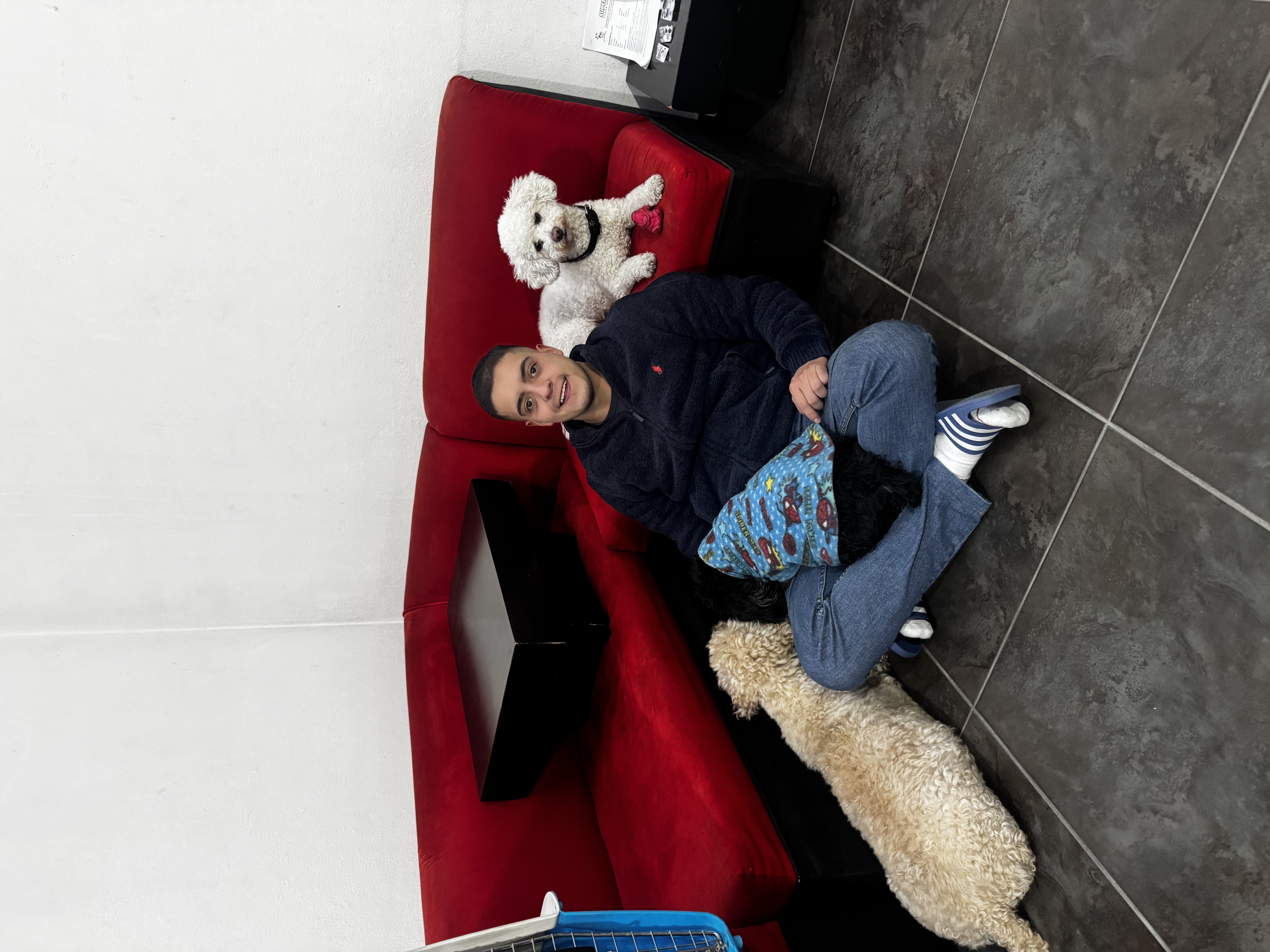 image-7