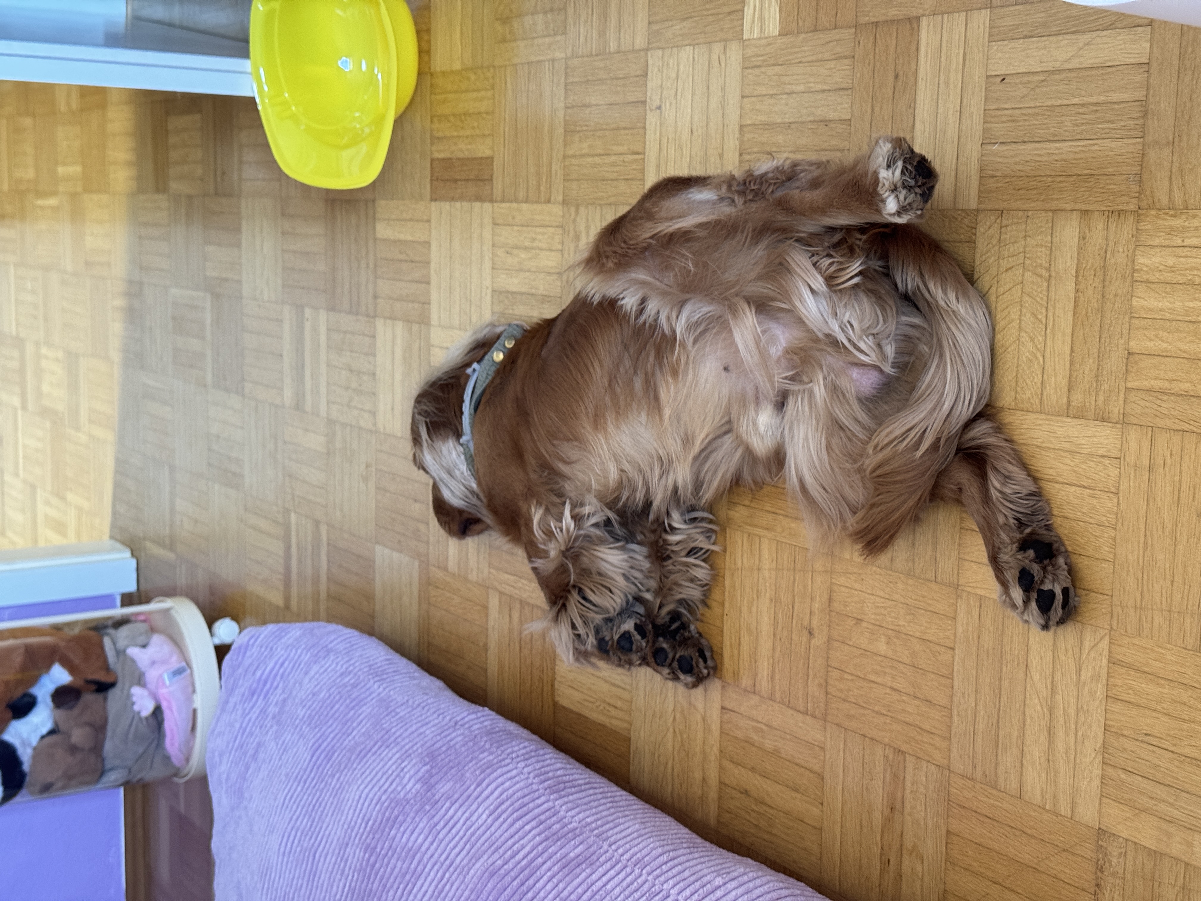 image-5
