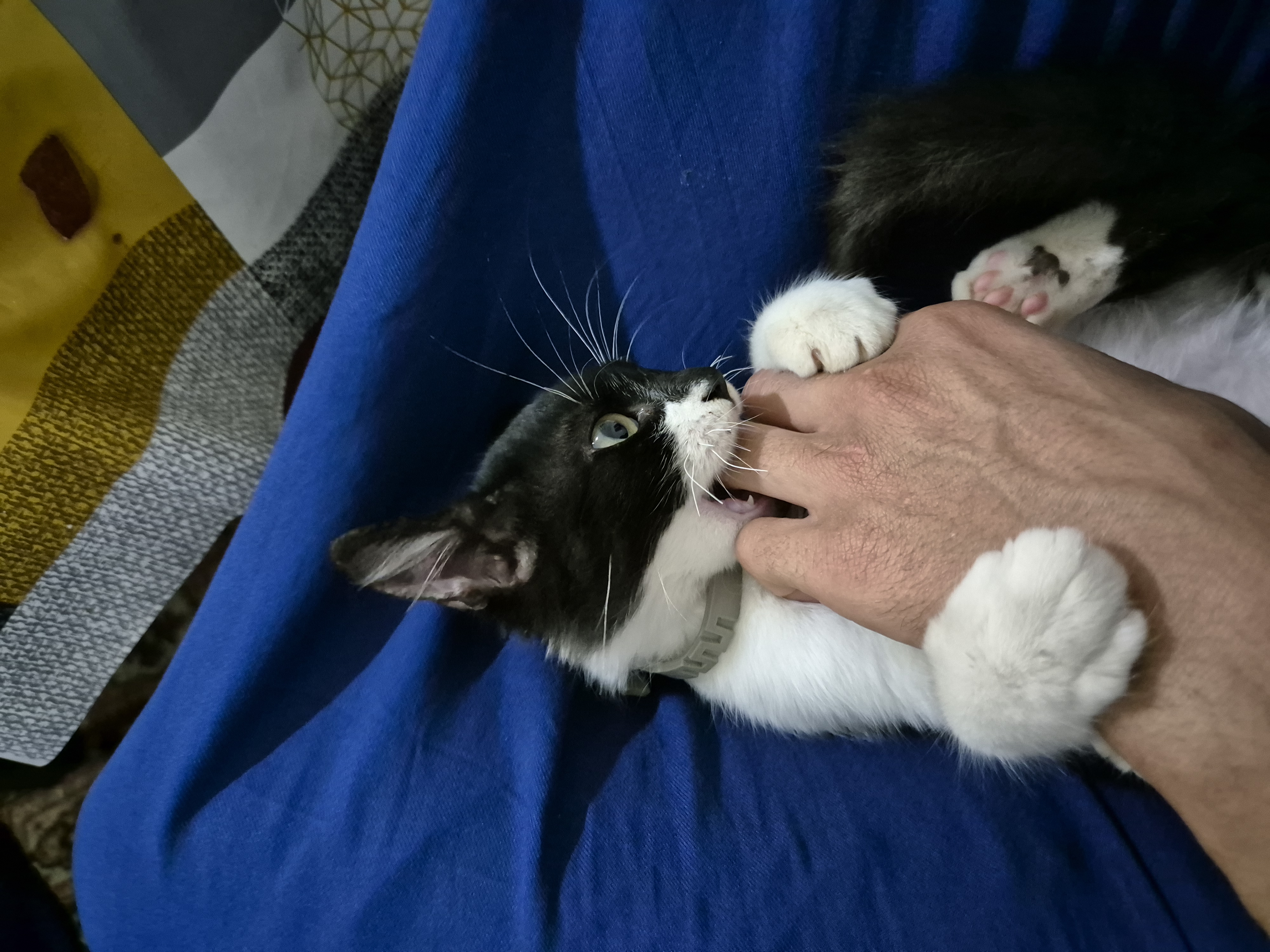 image-6