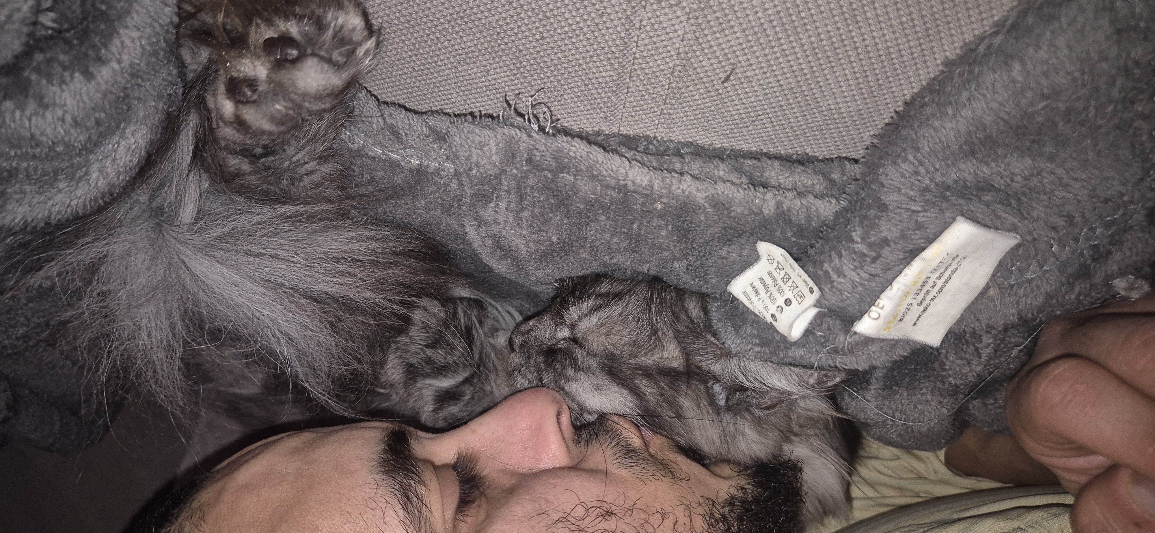 image-8
