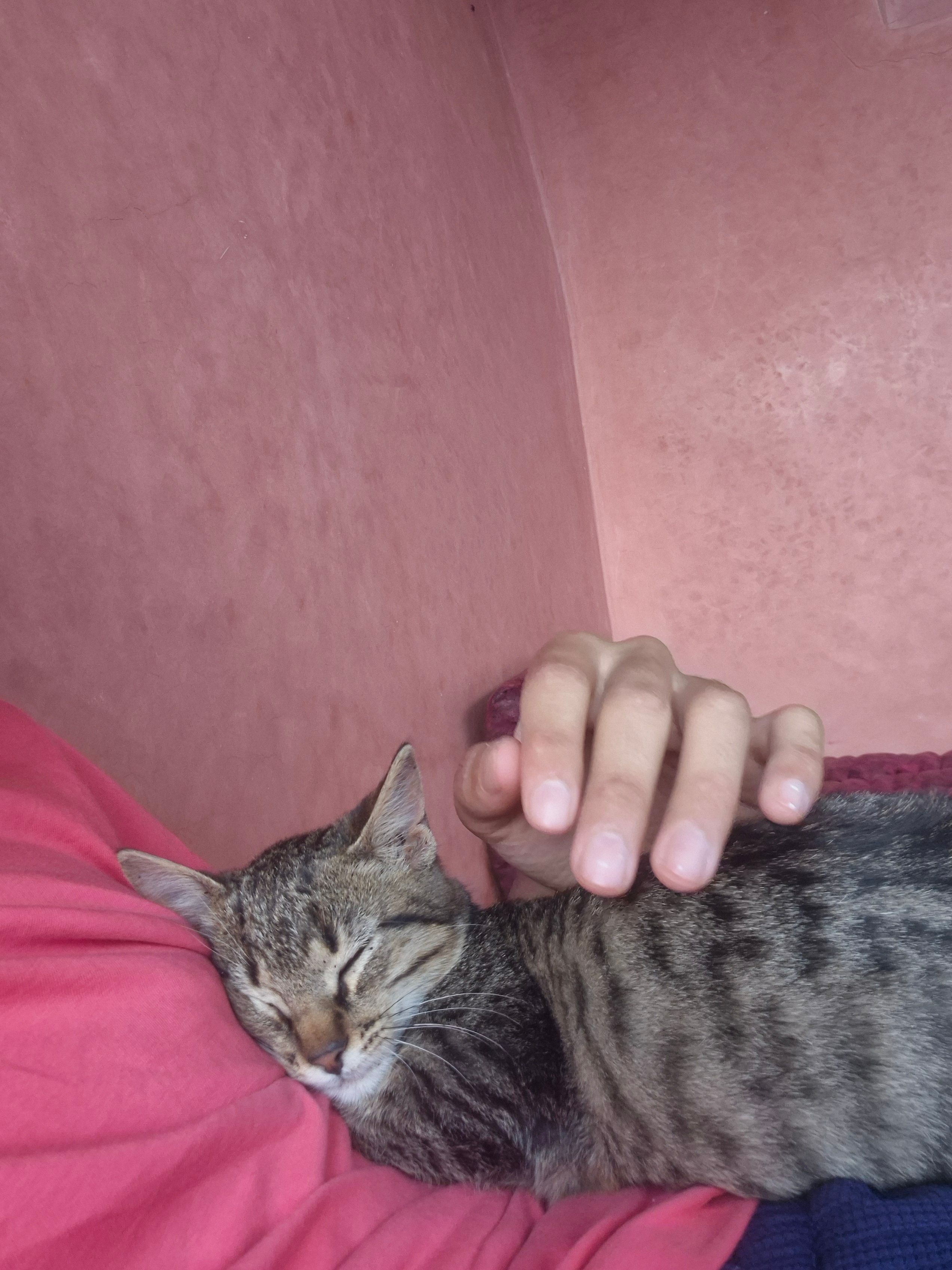 image-5