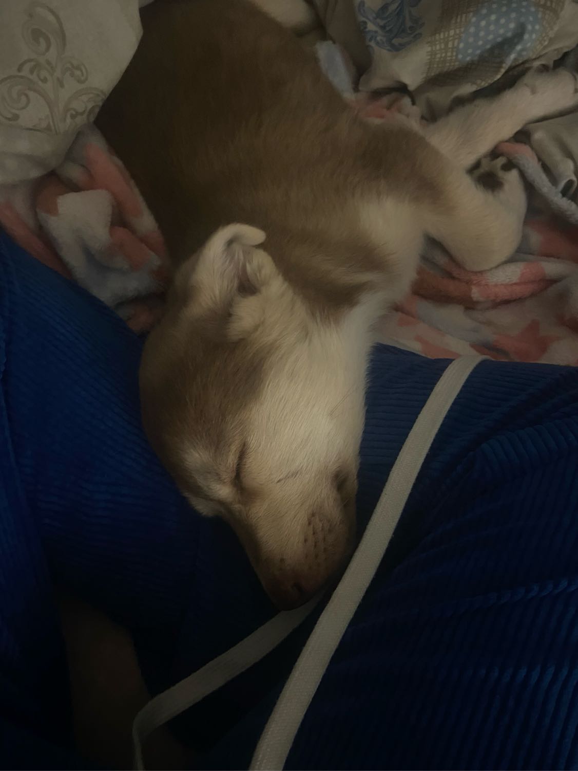 image-6