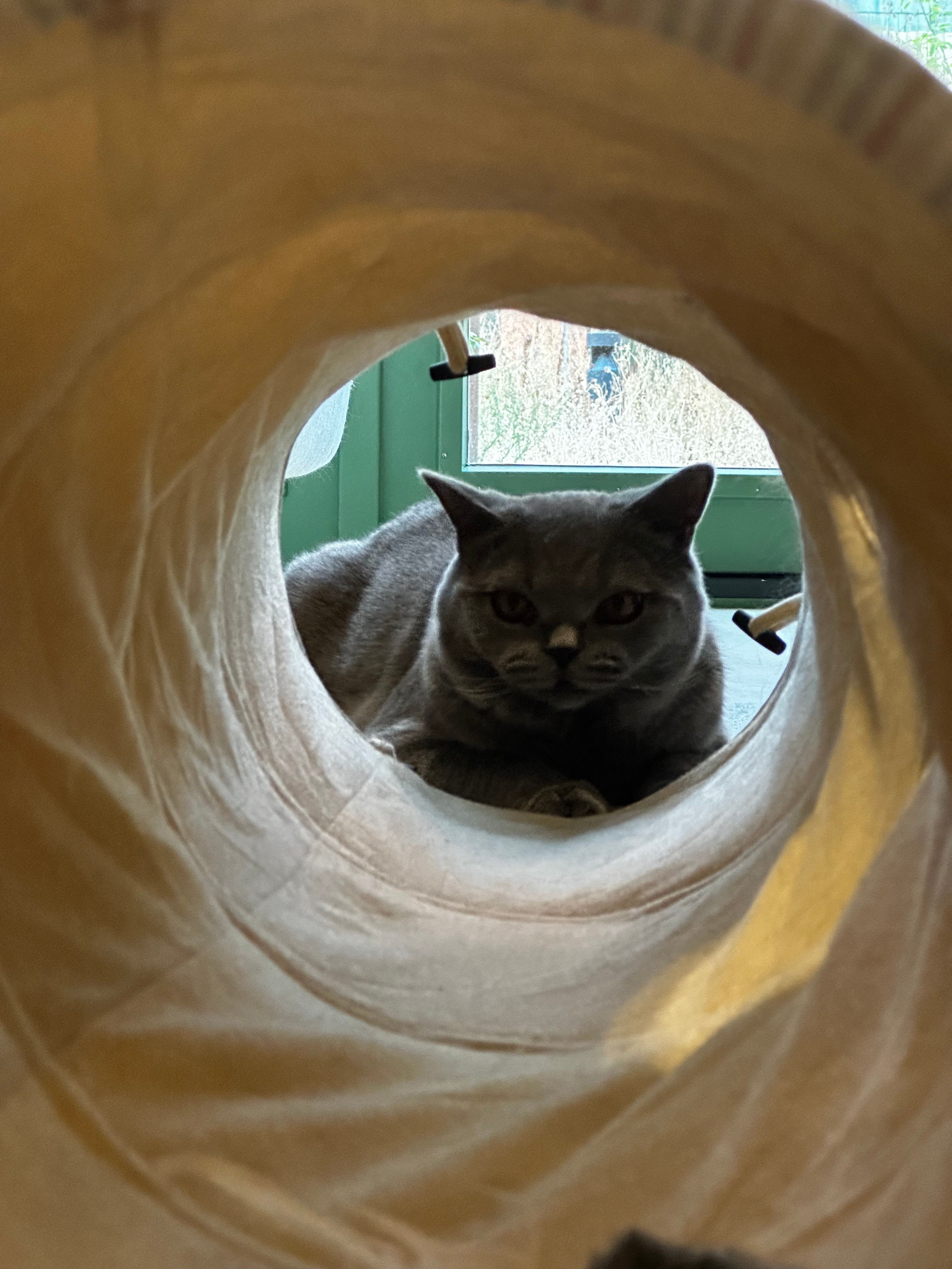 image-7