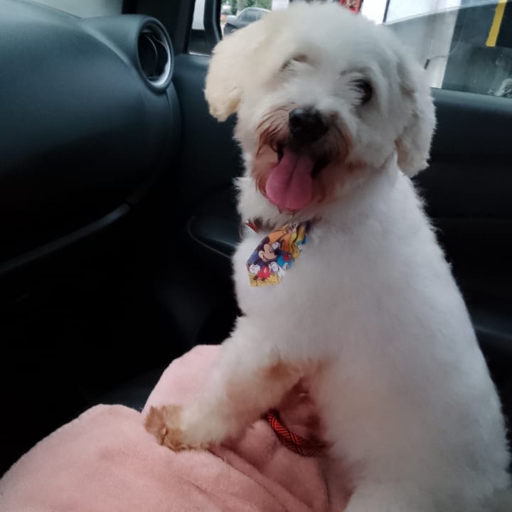 Billy