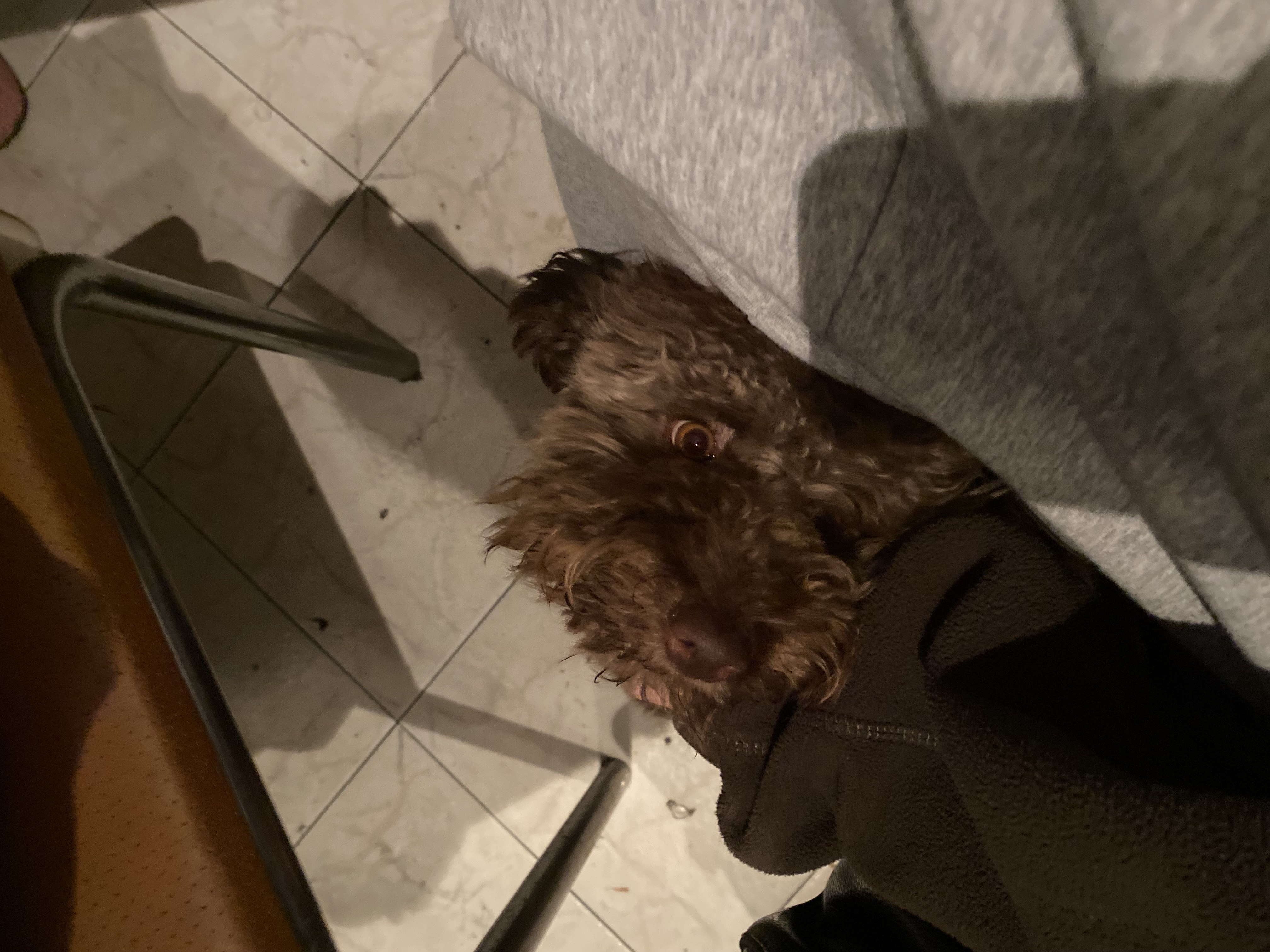 image-6