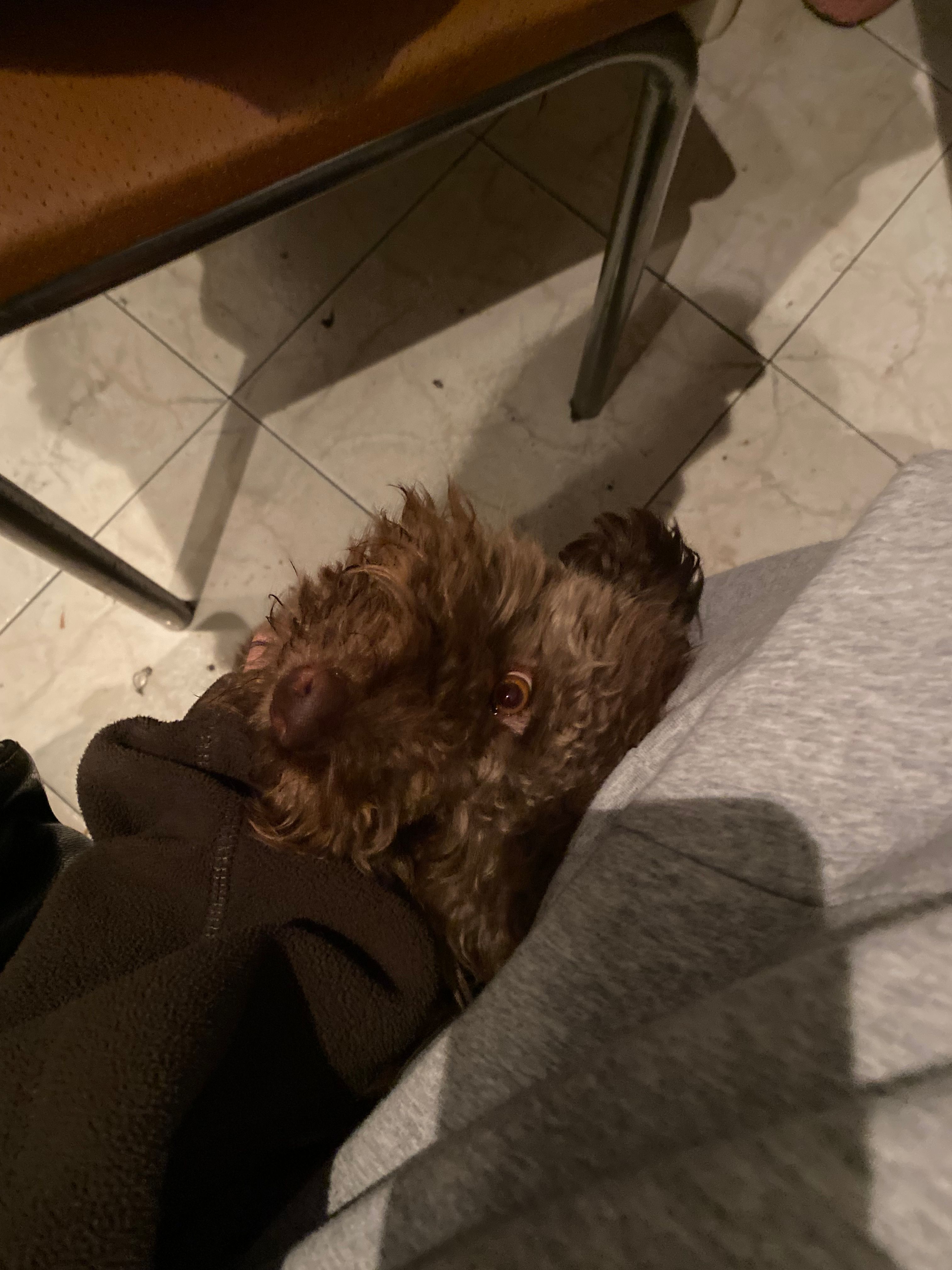 image-6