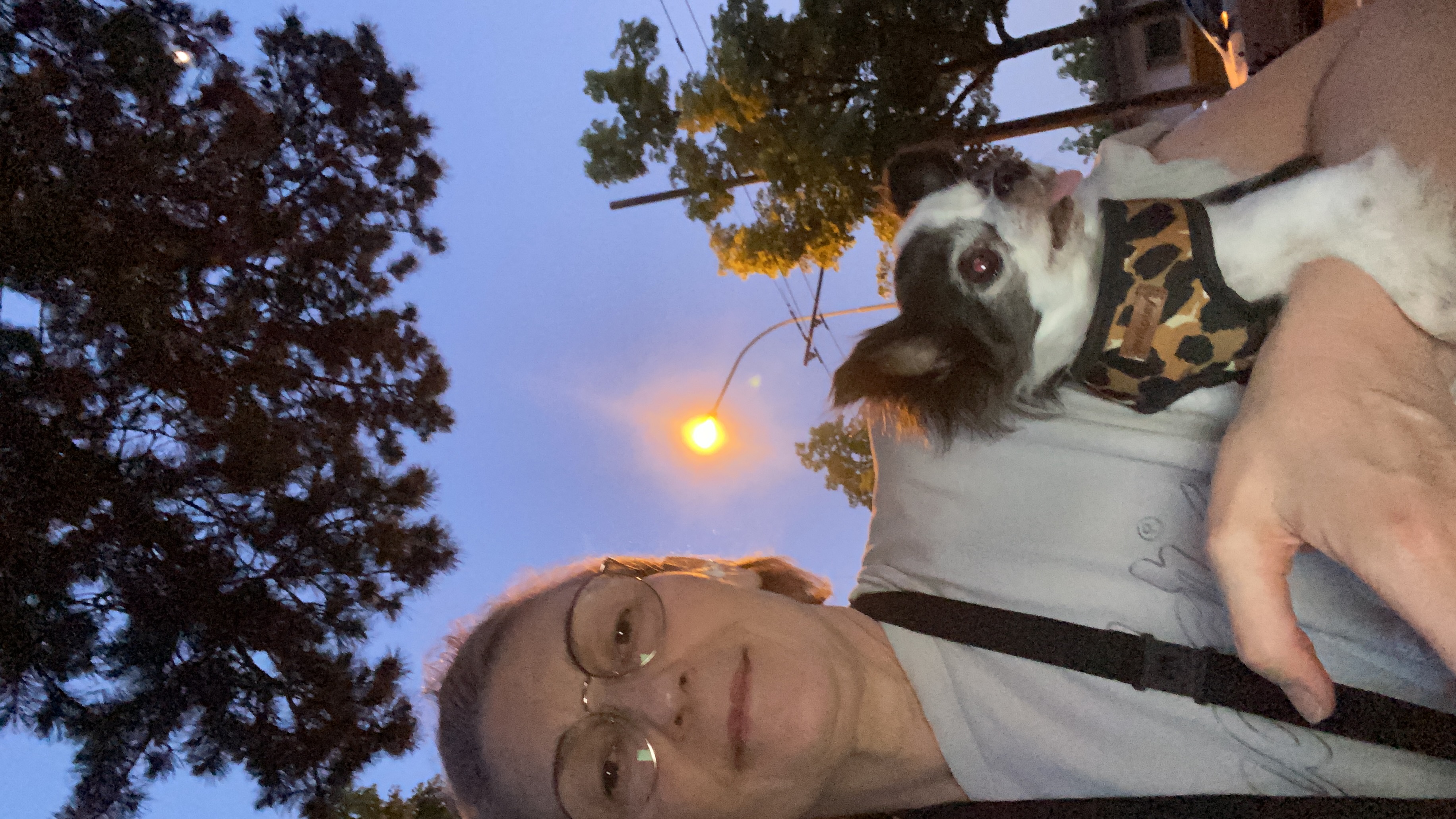 image-5