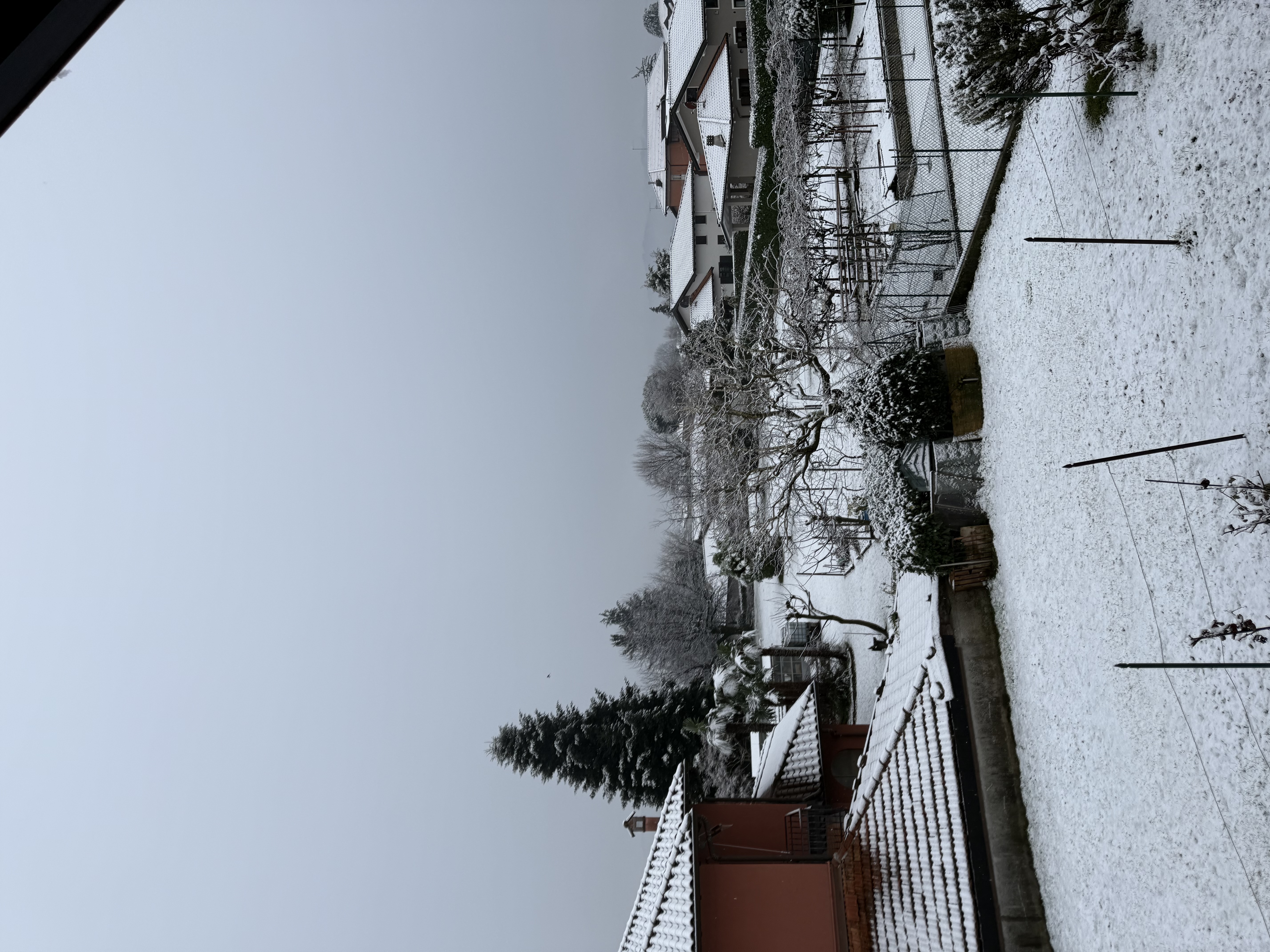 image-17