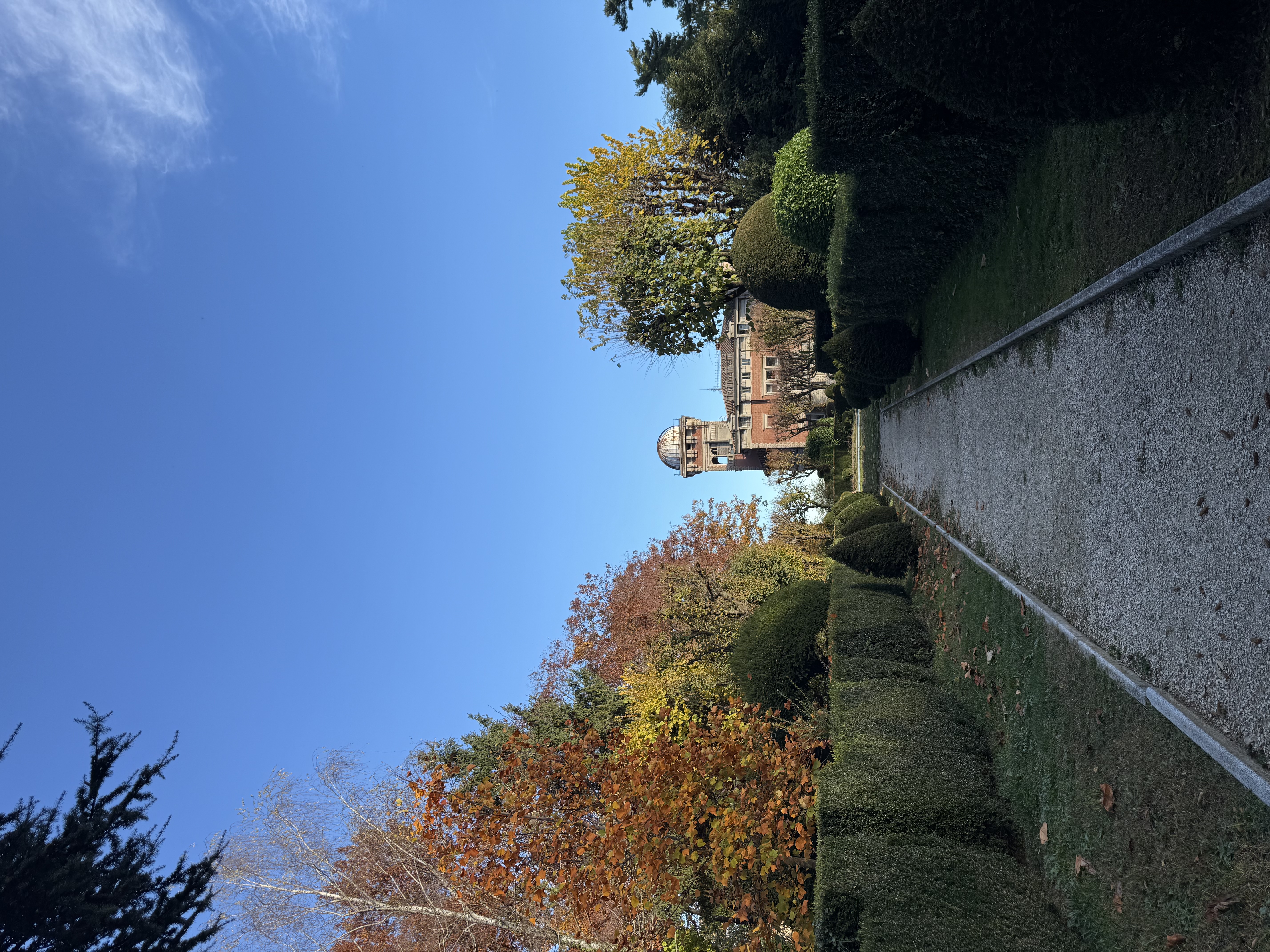 image-18