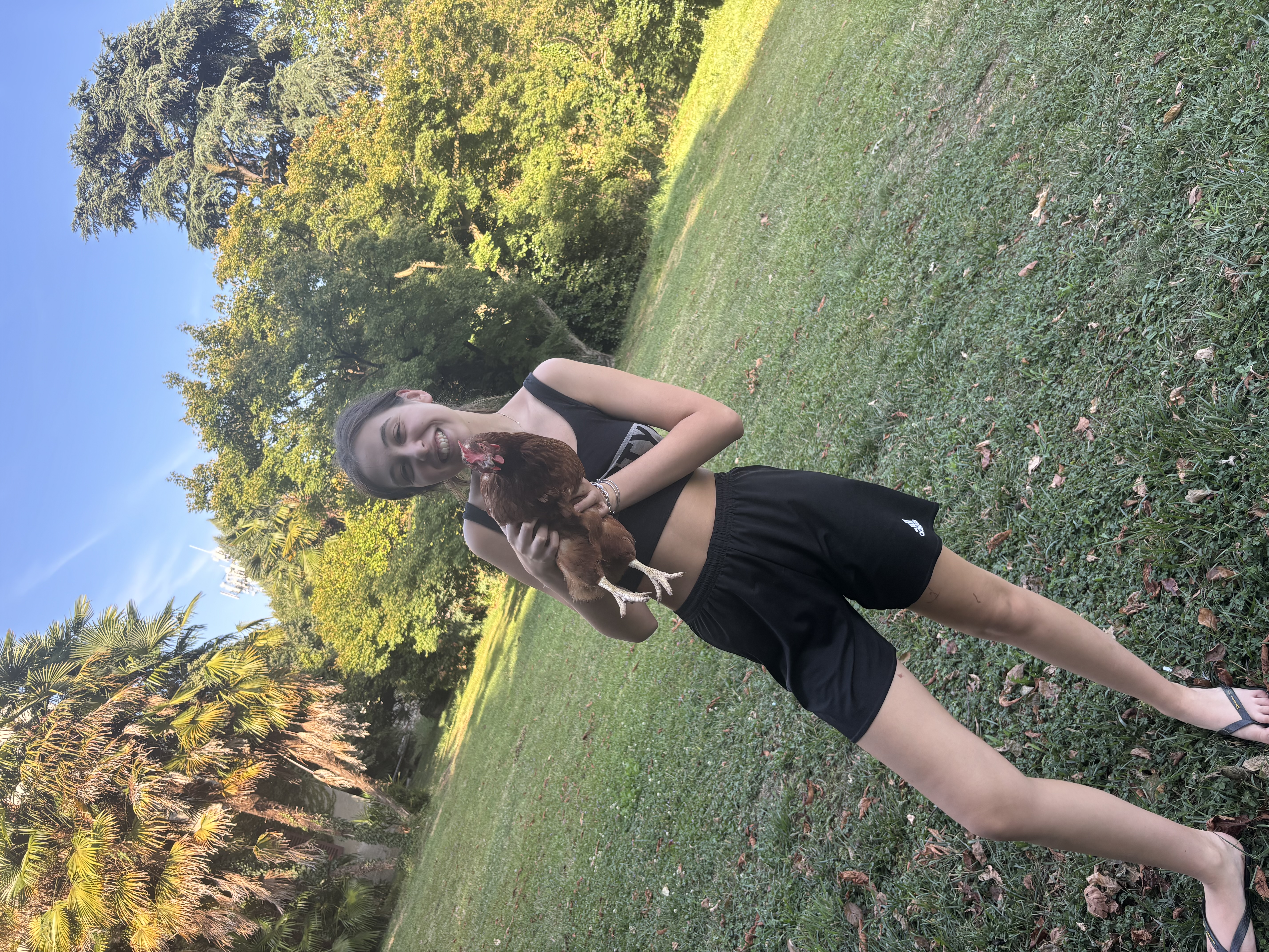 image-6
