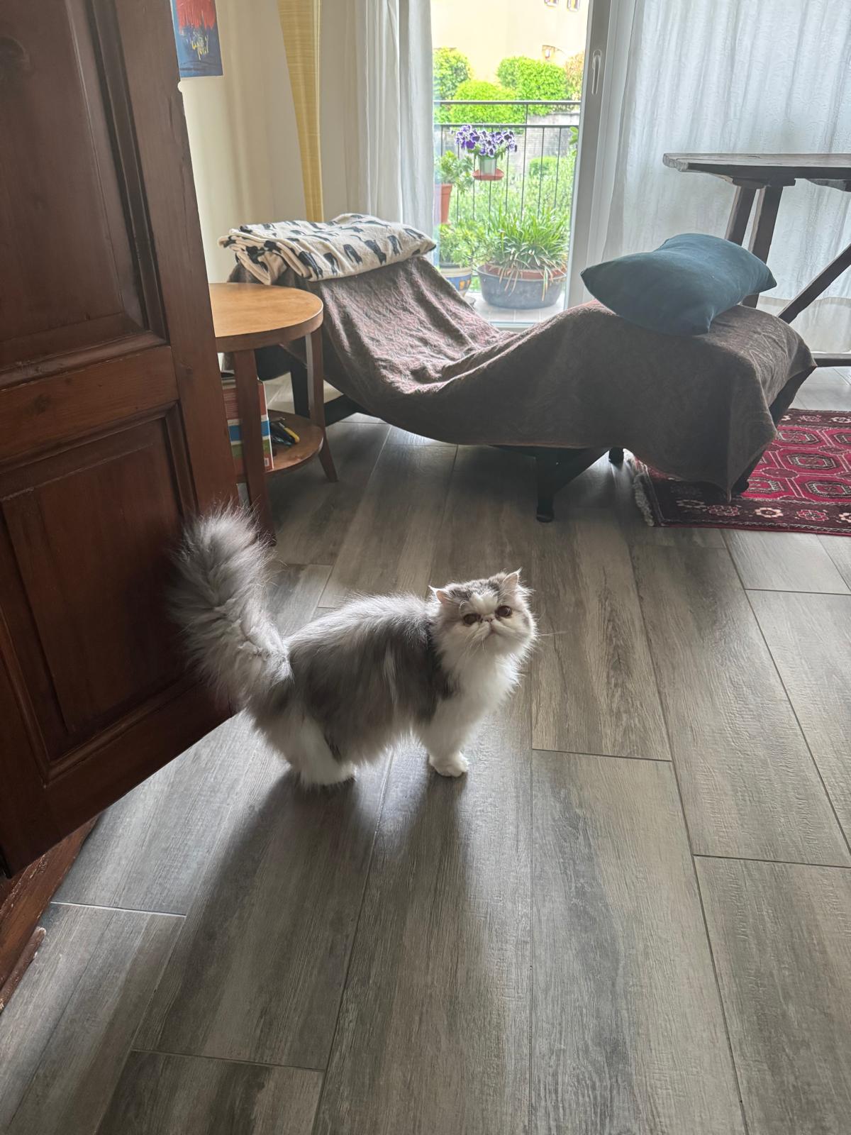 image-8