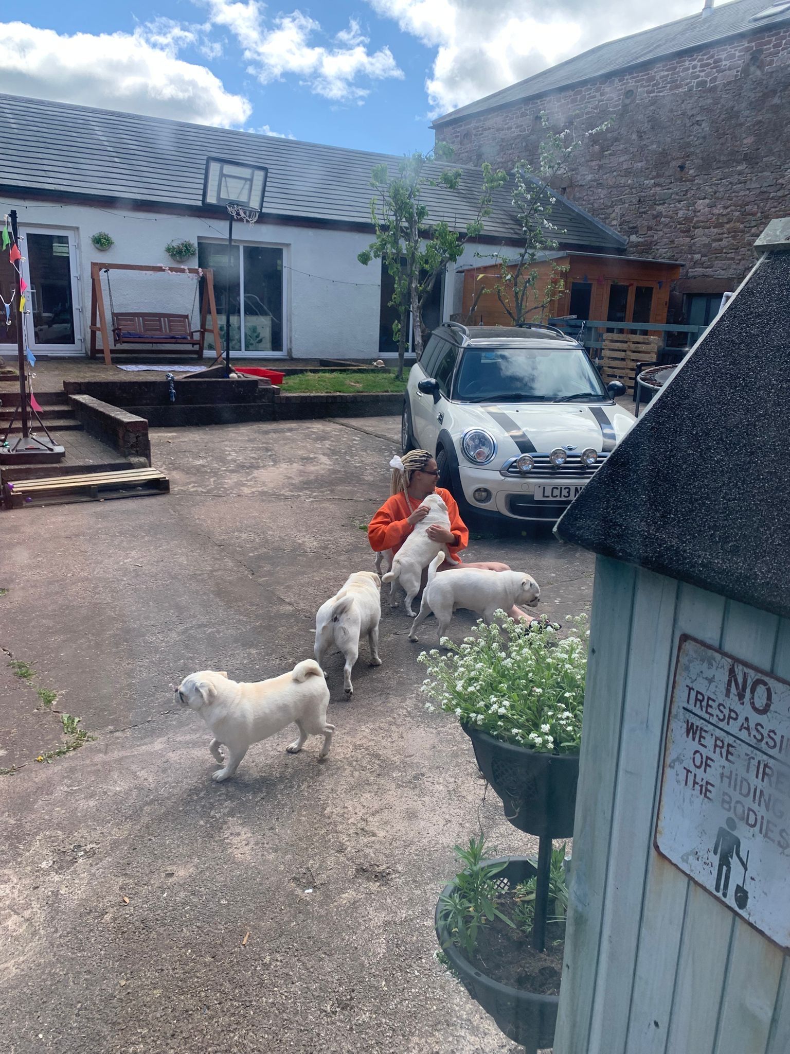 image-7