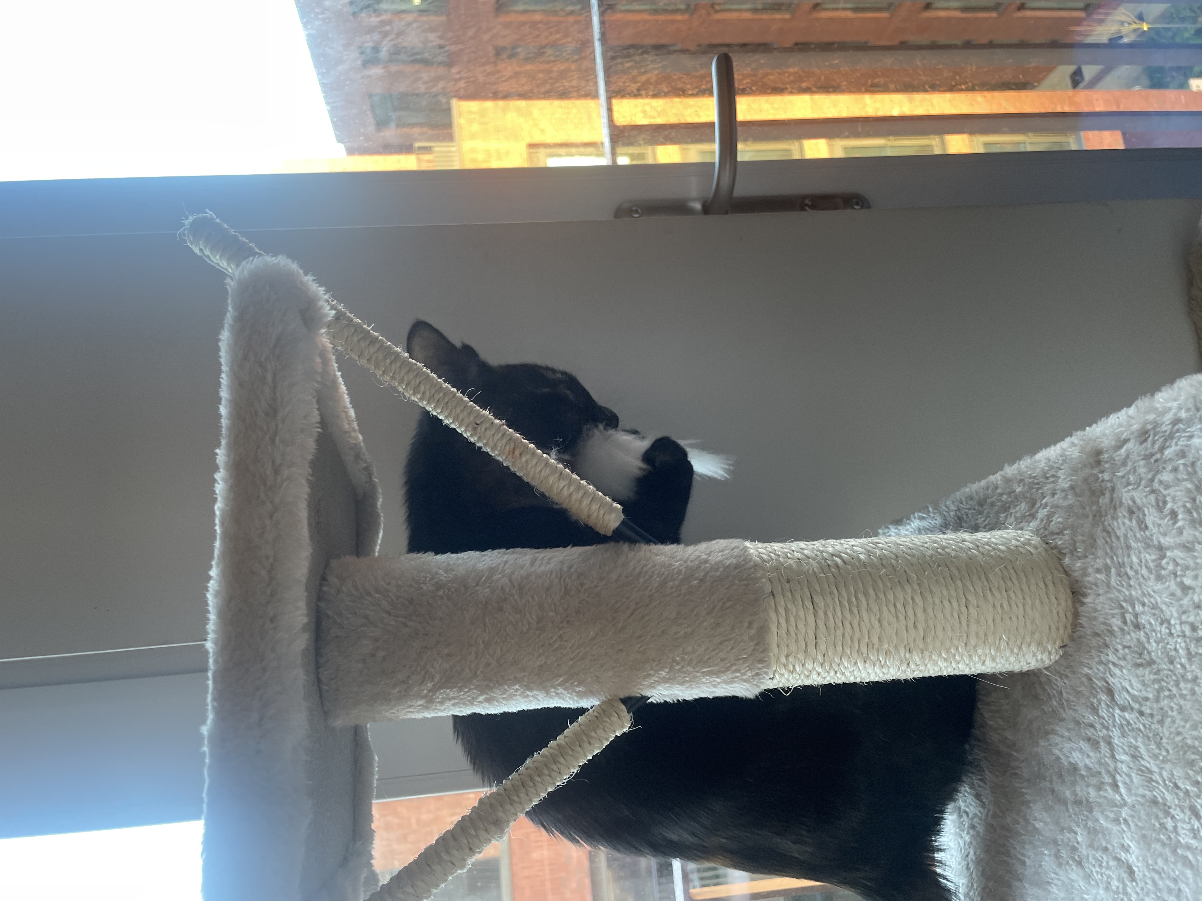 image-11